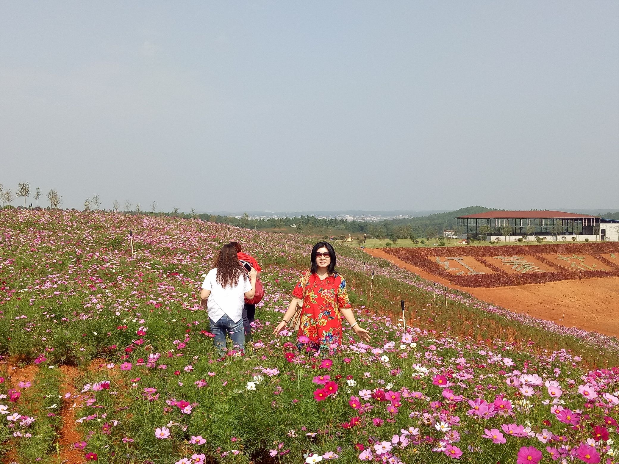 西长四季花海旅行图片 1