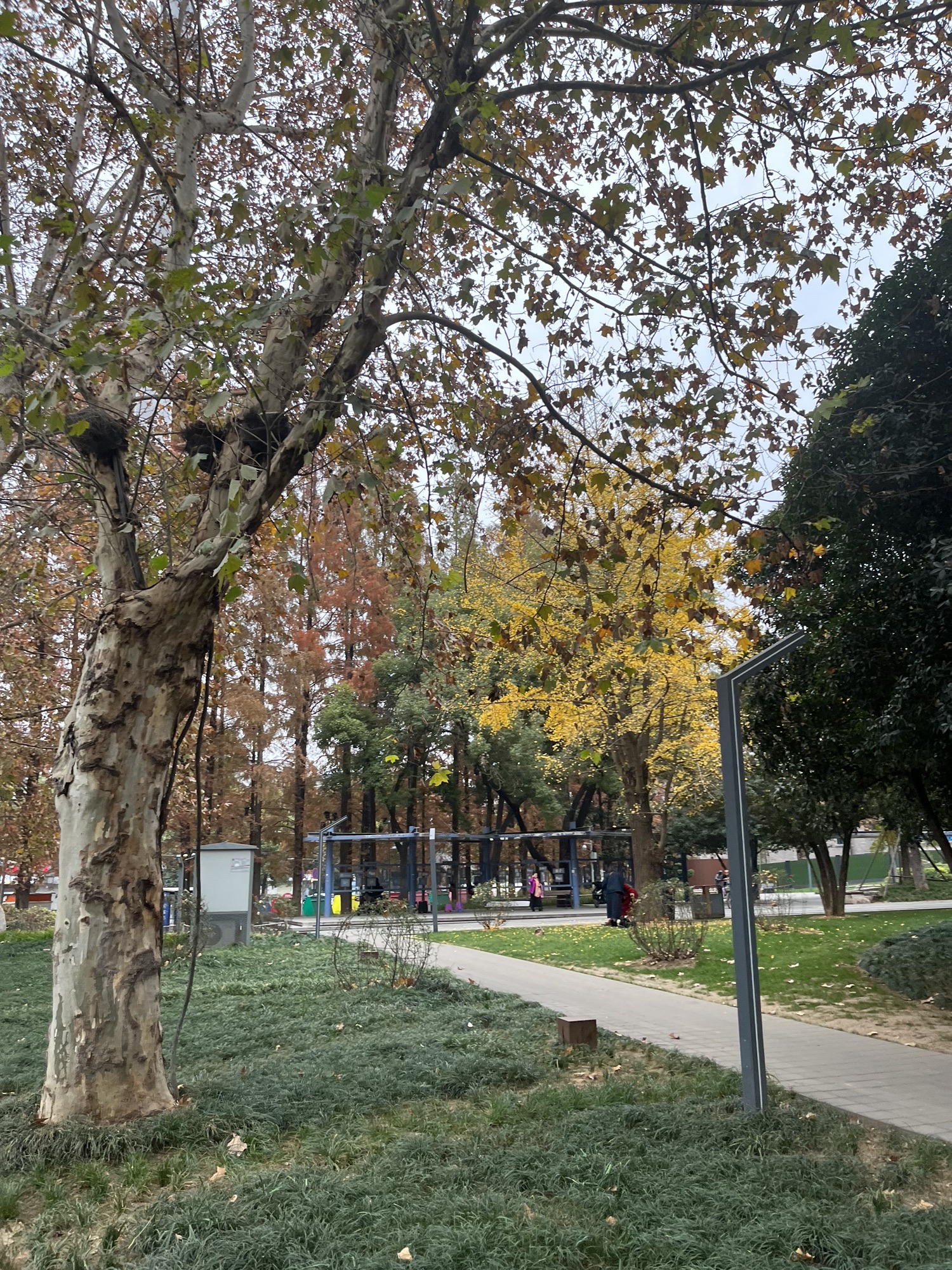 汉阳门花园旅行图片 2