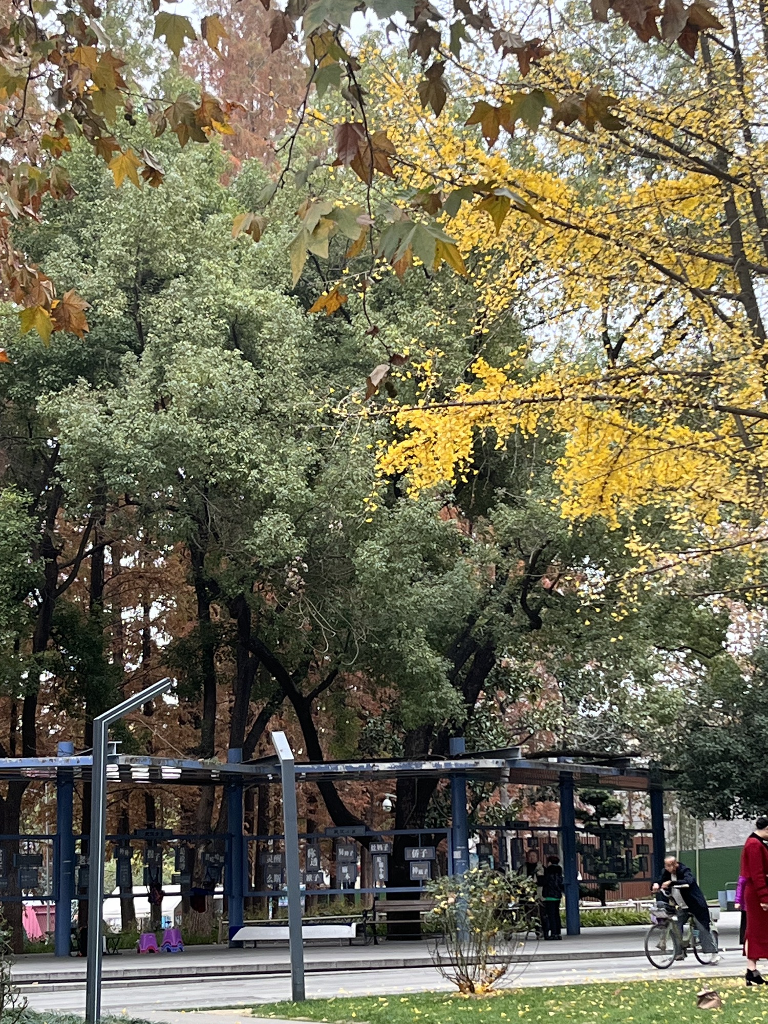 汉阳门花园旅行图片 3