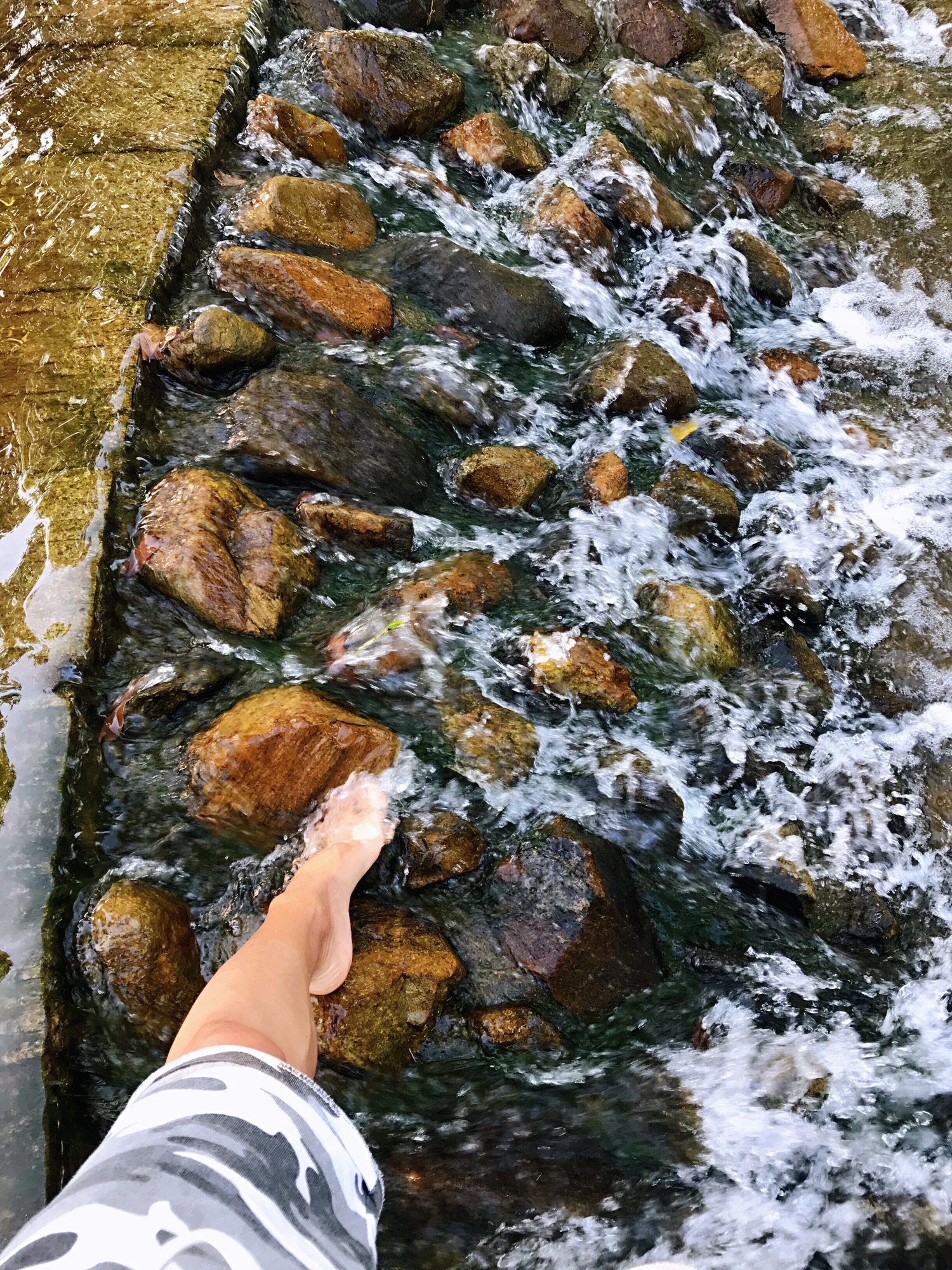 七彩凤凰生态观光园旅行图片 3