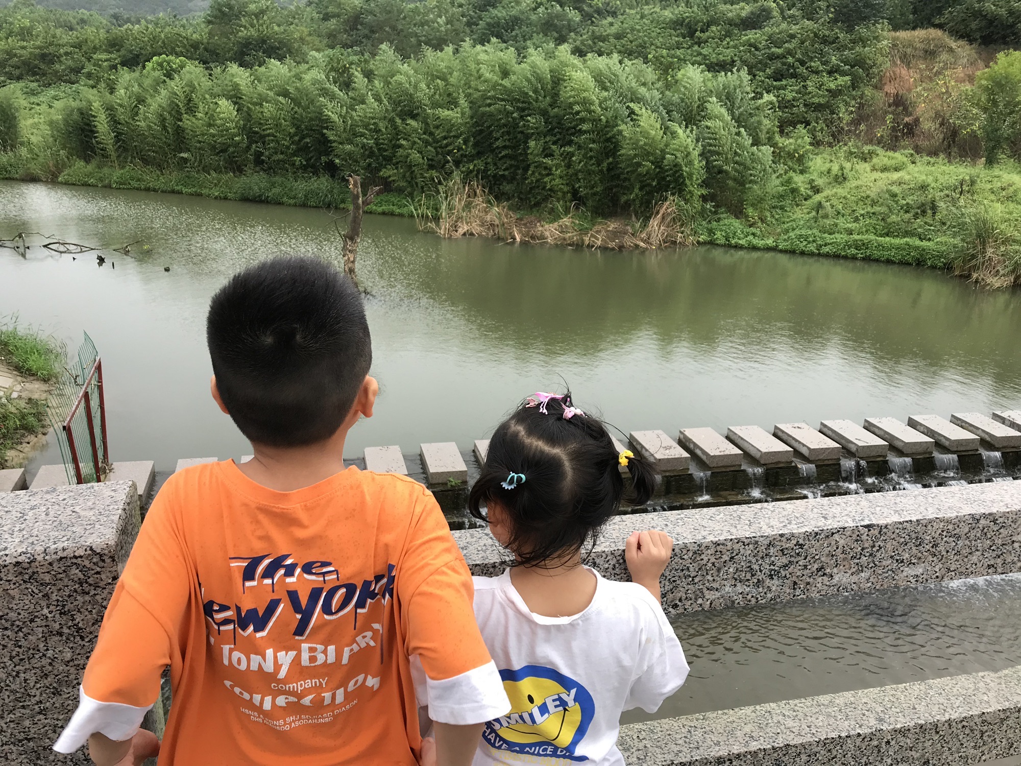 七彩凤凰生态观光园旅行图片 1