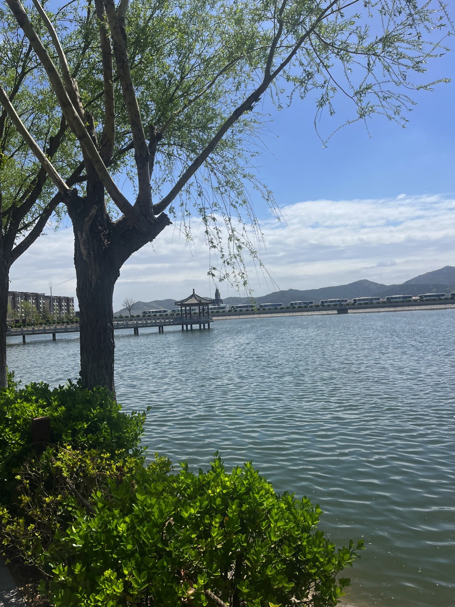 仙姑湖公园旅行图片 1