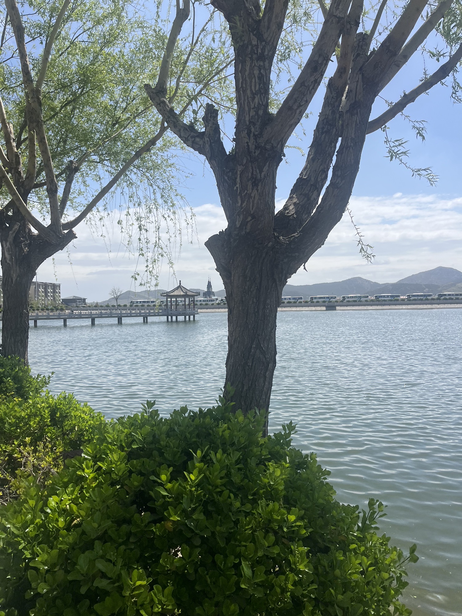 仙姑湖公园旅行图片 2