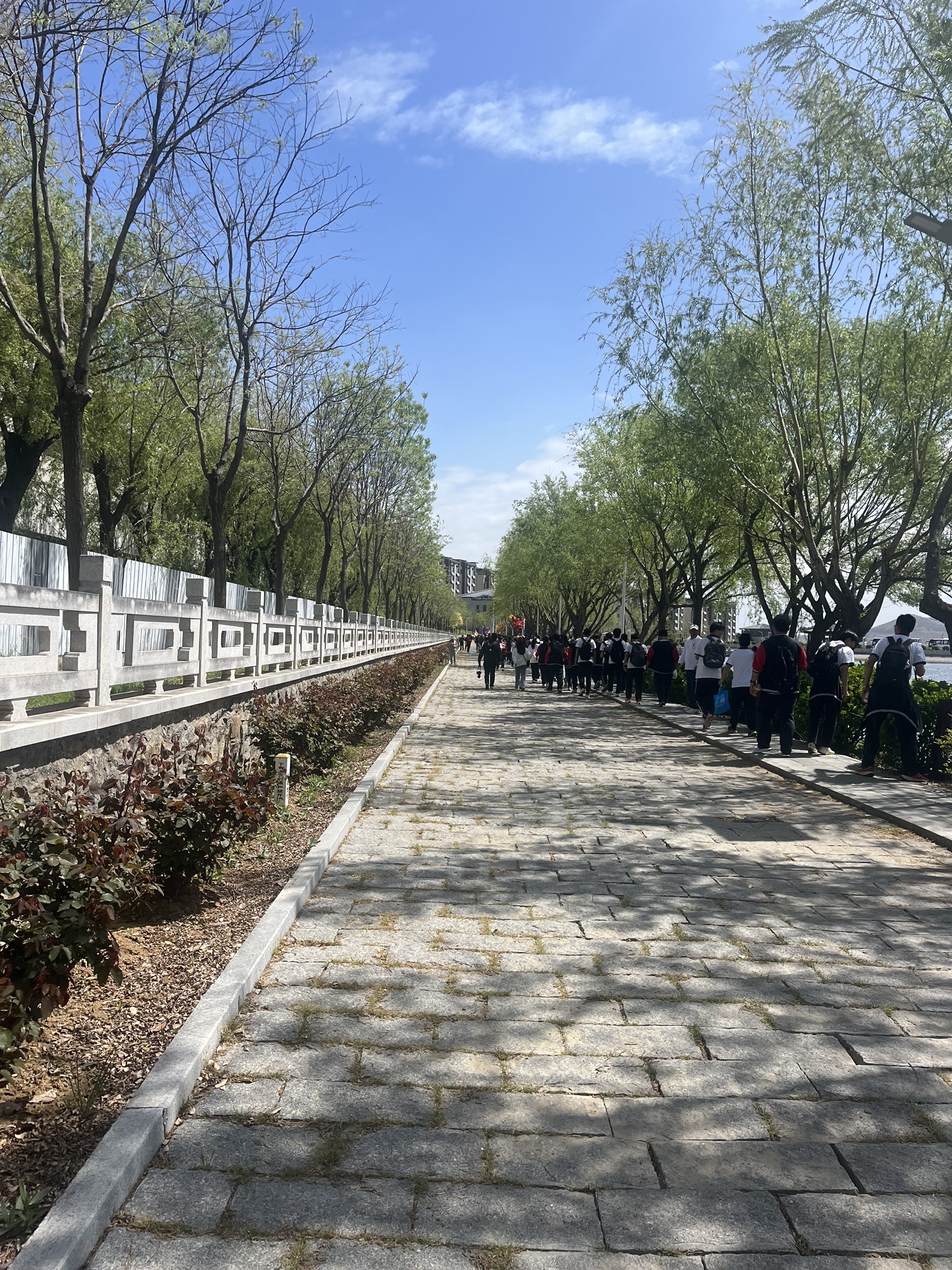 仙姑湖公园旅行图片 3