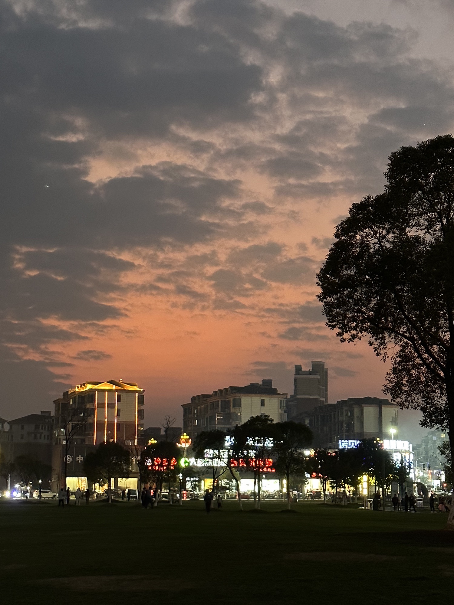 绿地广场旅行图片 1