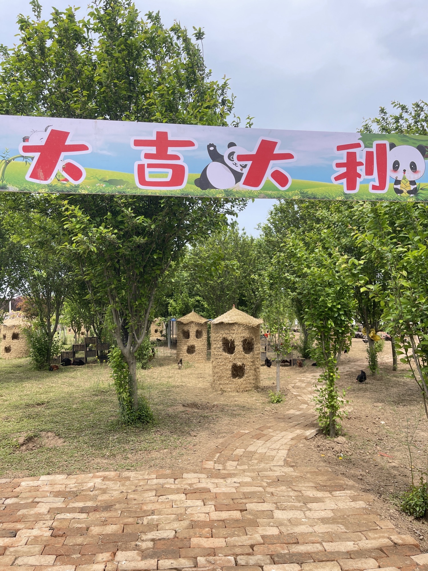 两河湾湾紫藤园旅行图片 3