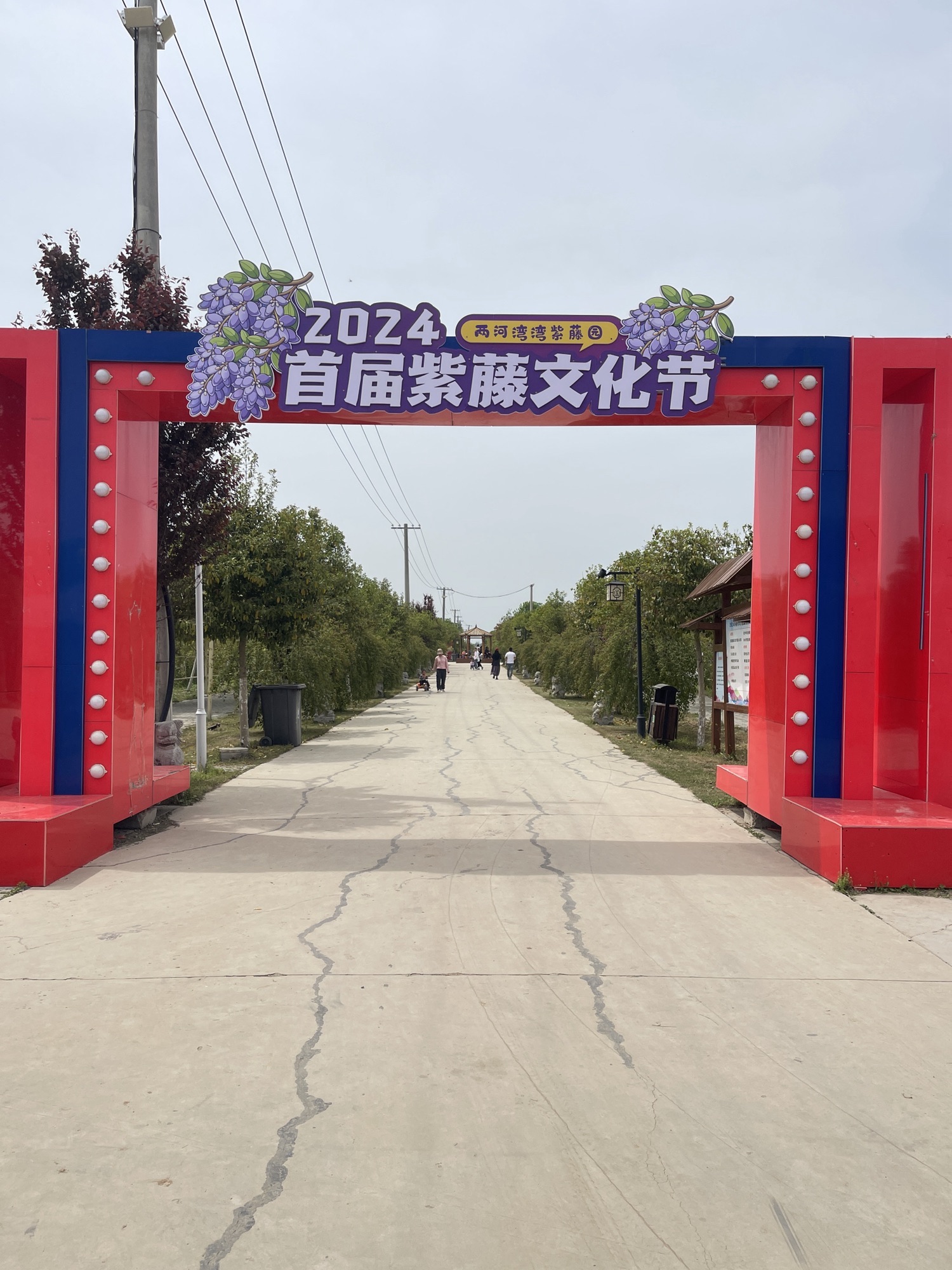 两河湾湾紫藤园旅行图片 1