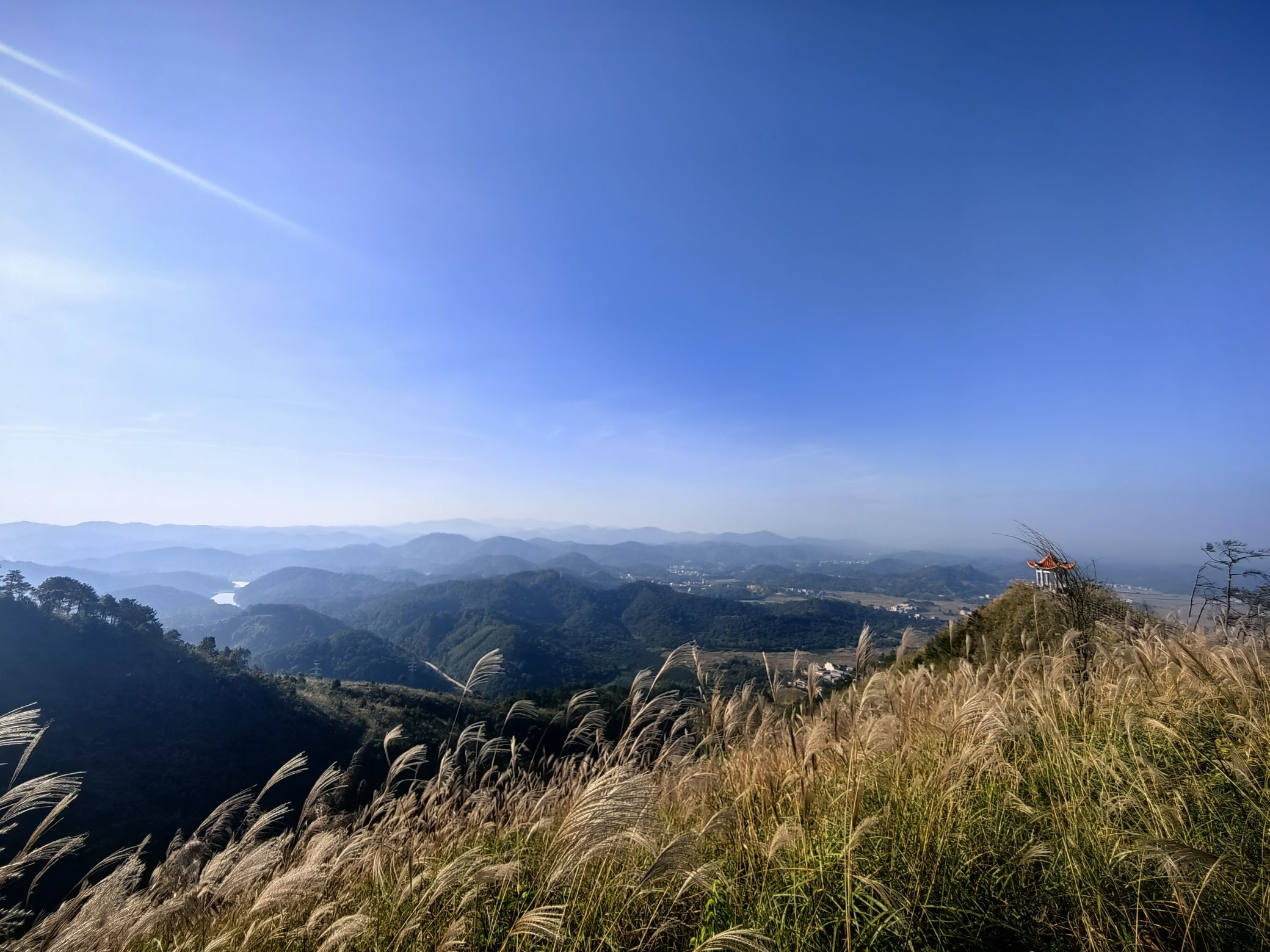 兴业县蒲塘镇北寮岭健身生态森林公园旅行图片 2