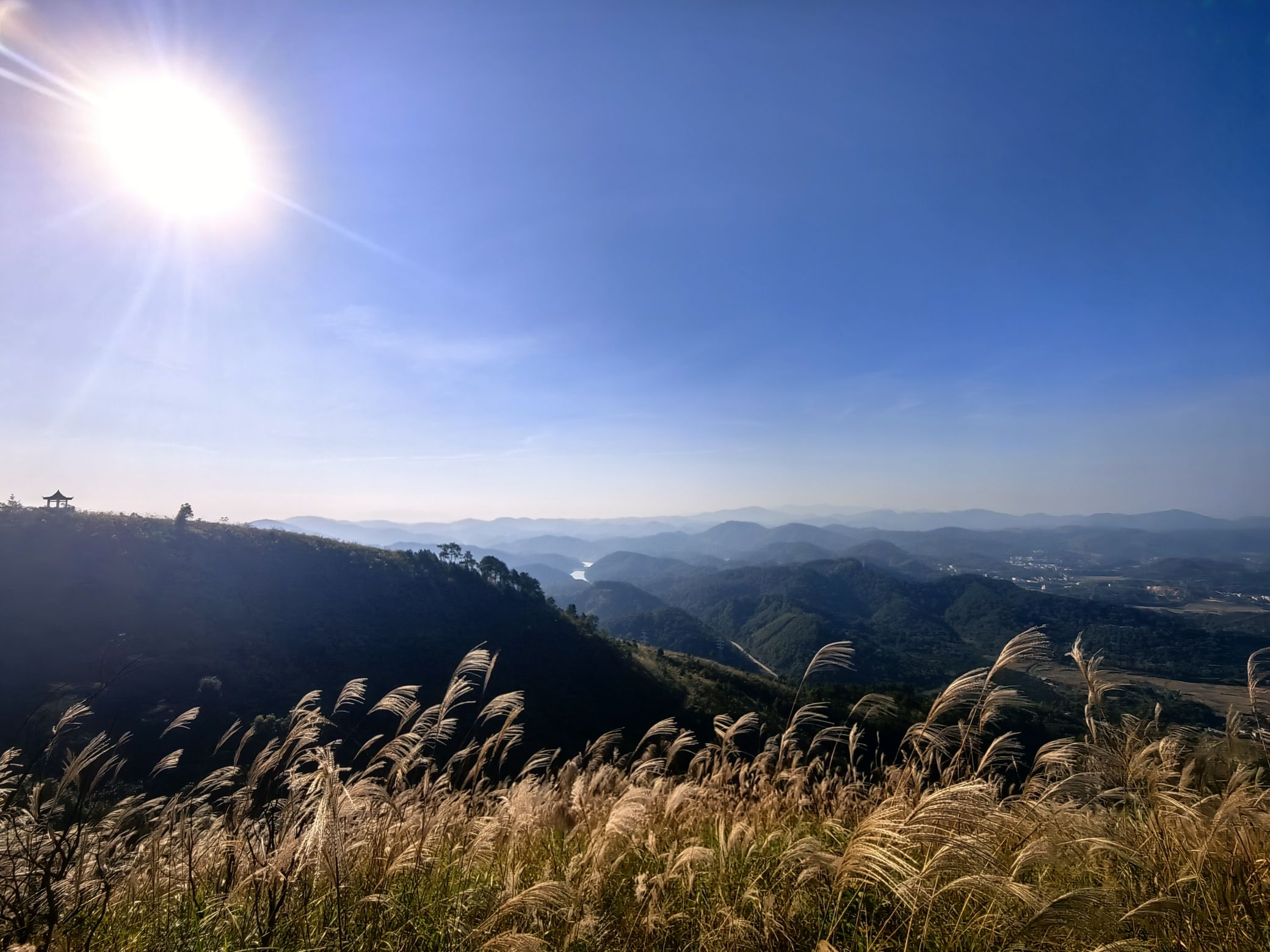 兴业县蒲塘镇北寮岭健身生态森林公园旅行图片 1