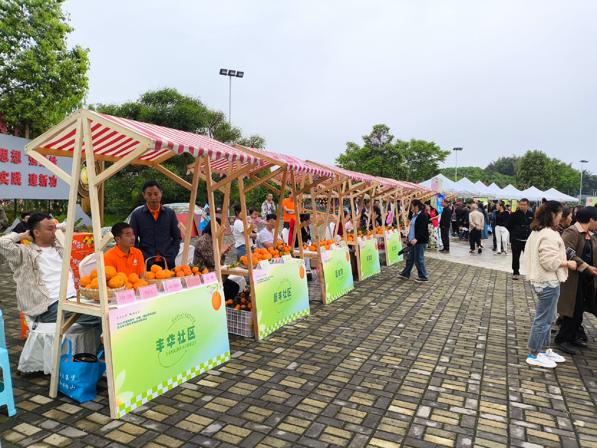 团结村橘花广场旅行图片 1