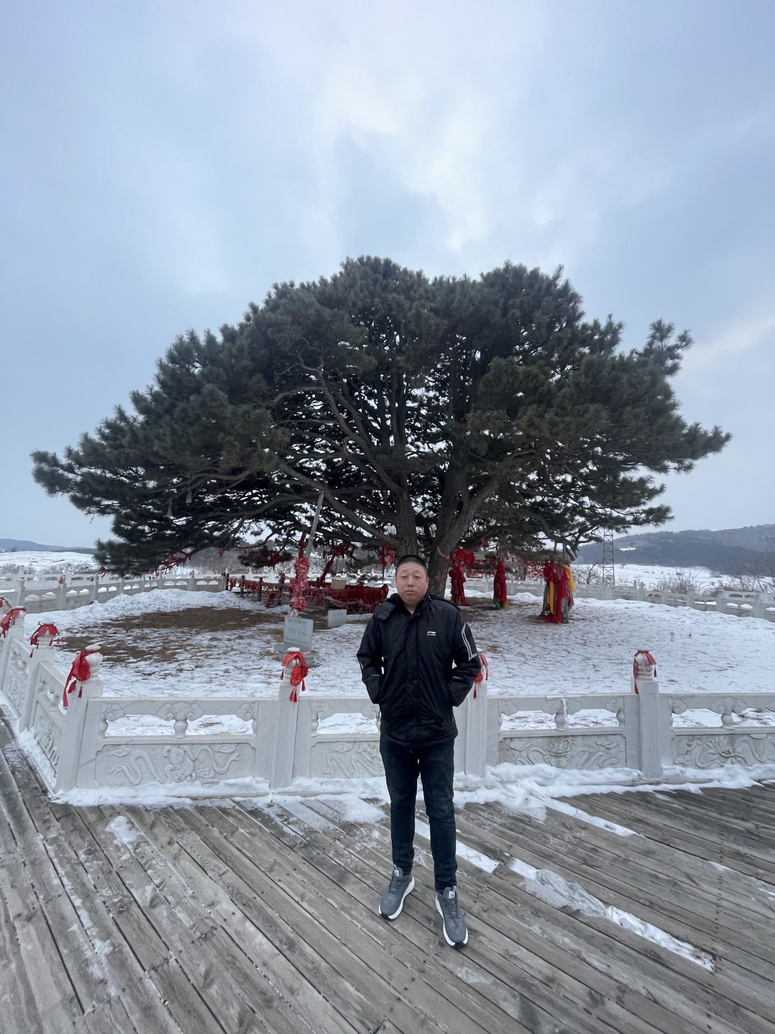 大清神树旅行图片 1