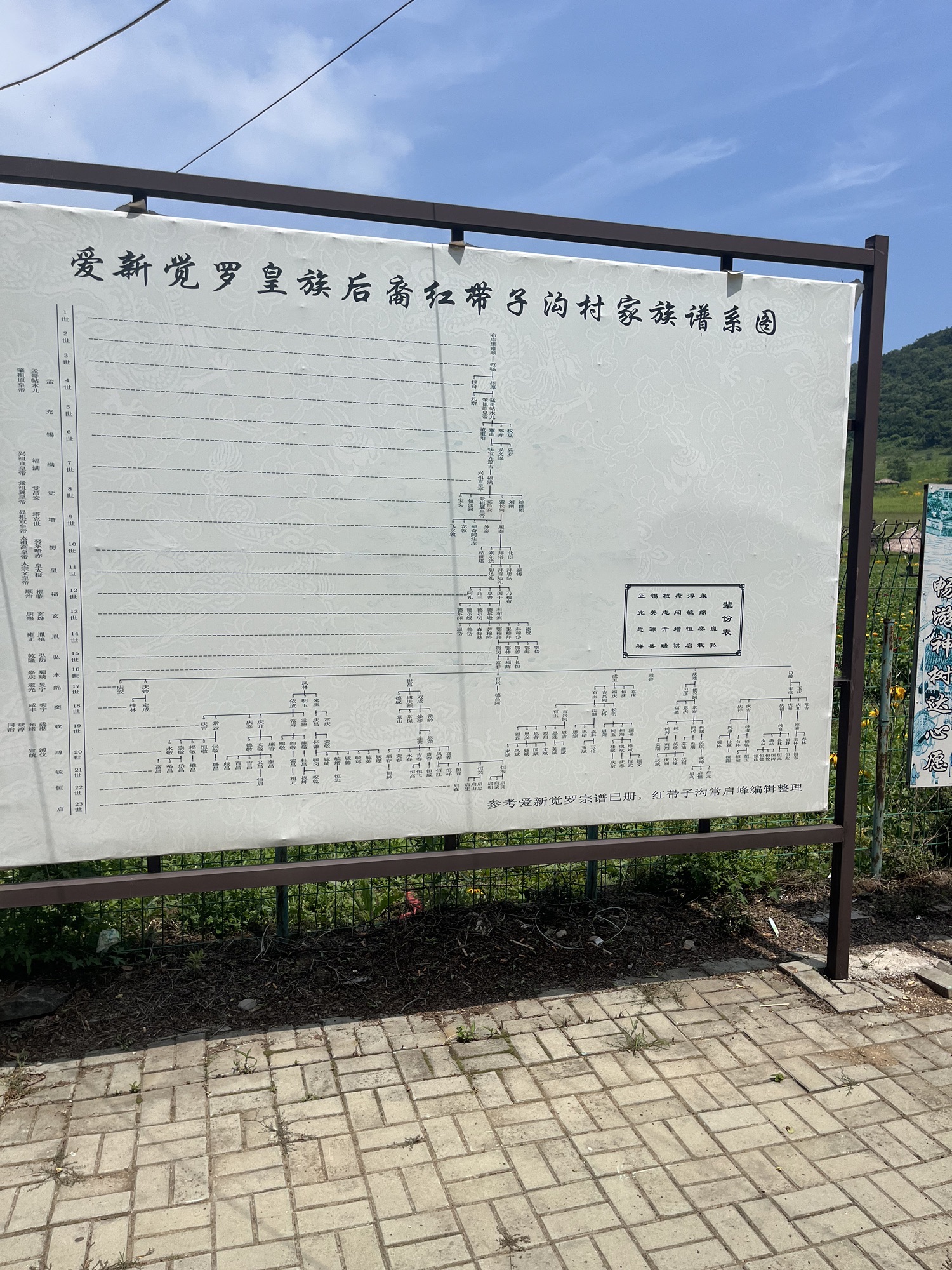 大清神树旅行图片 2