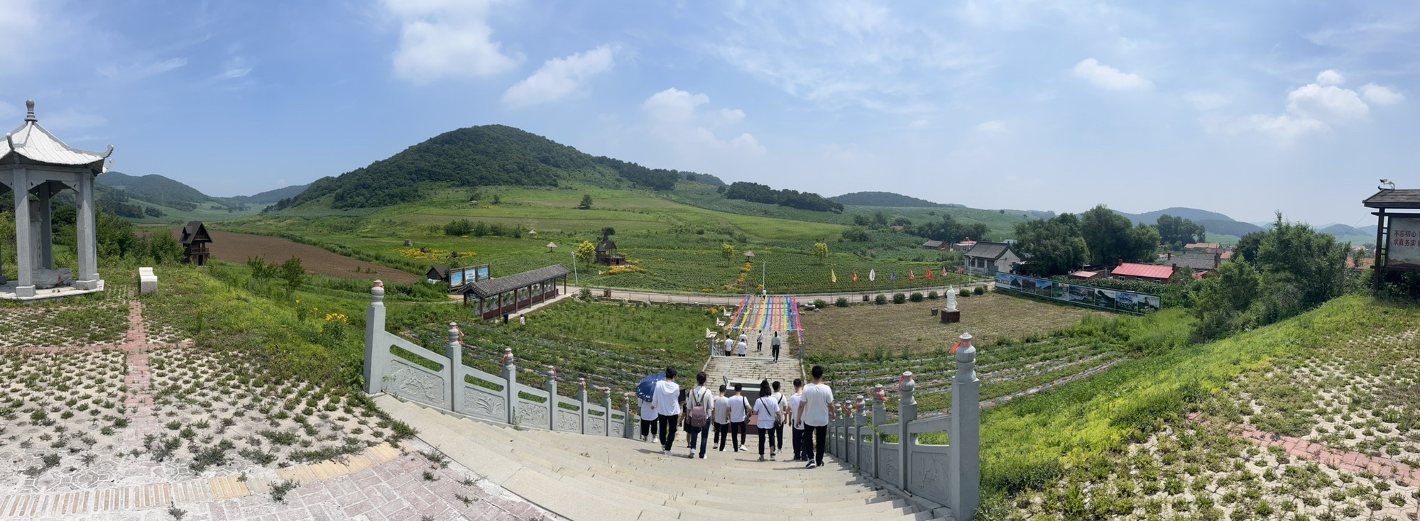 大清神树旅行图片 3