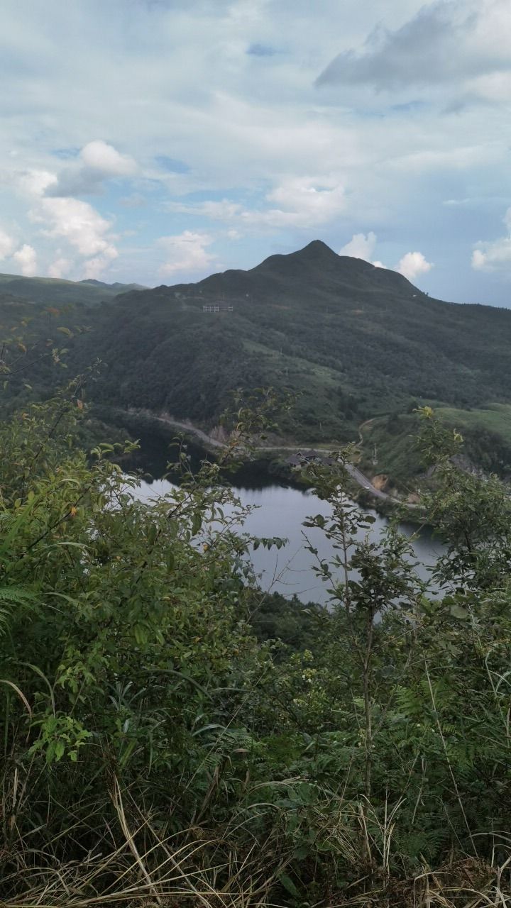 茶圣殿