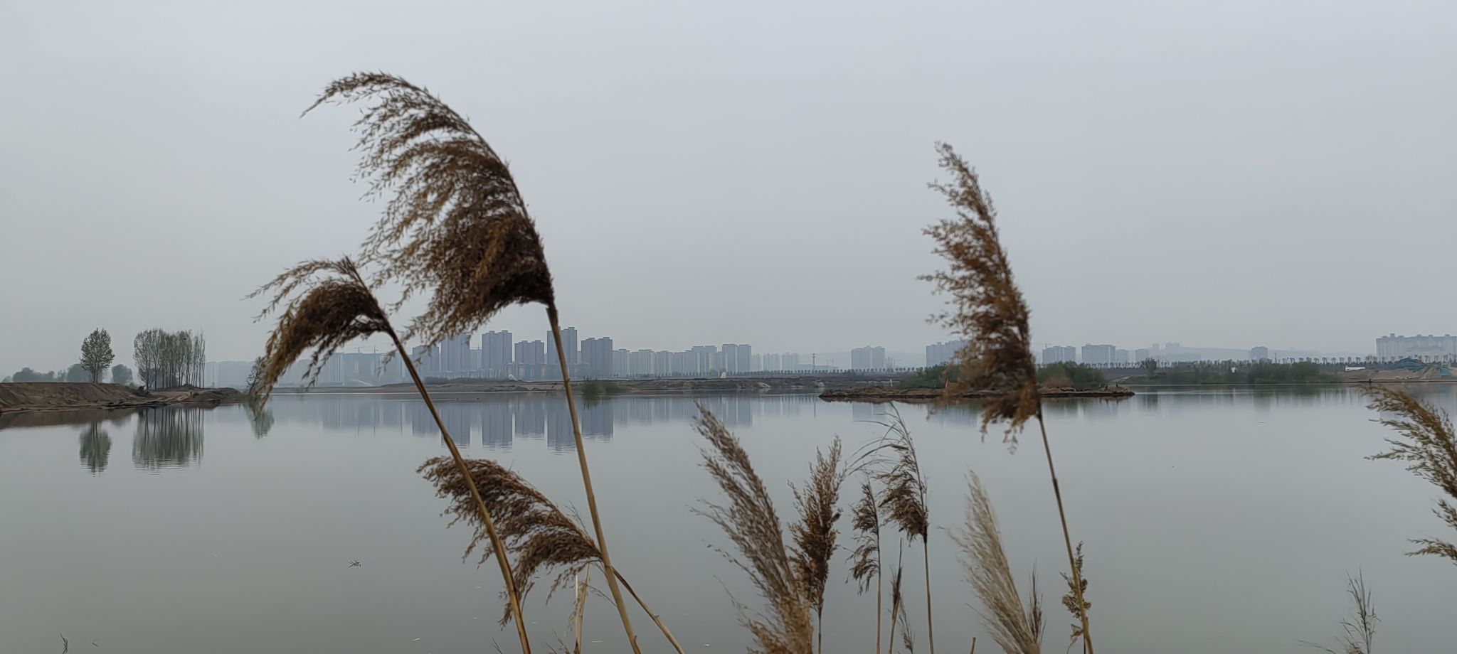 伊洛合流旅行图片 2