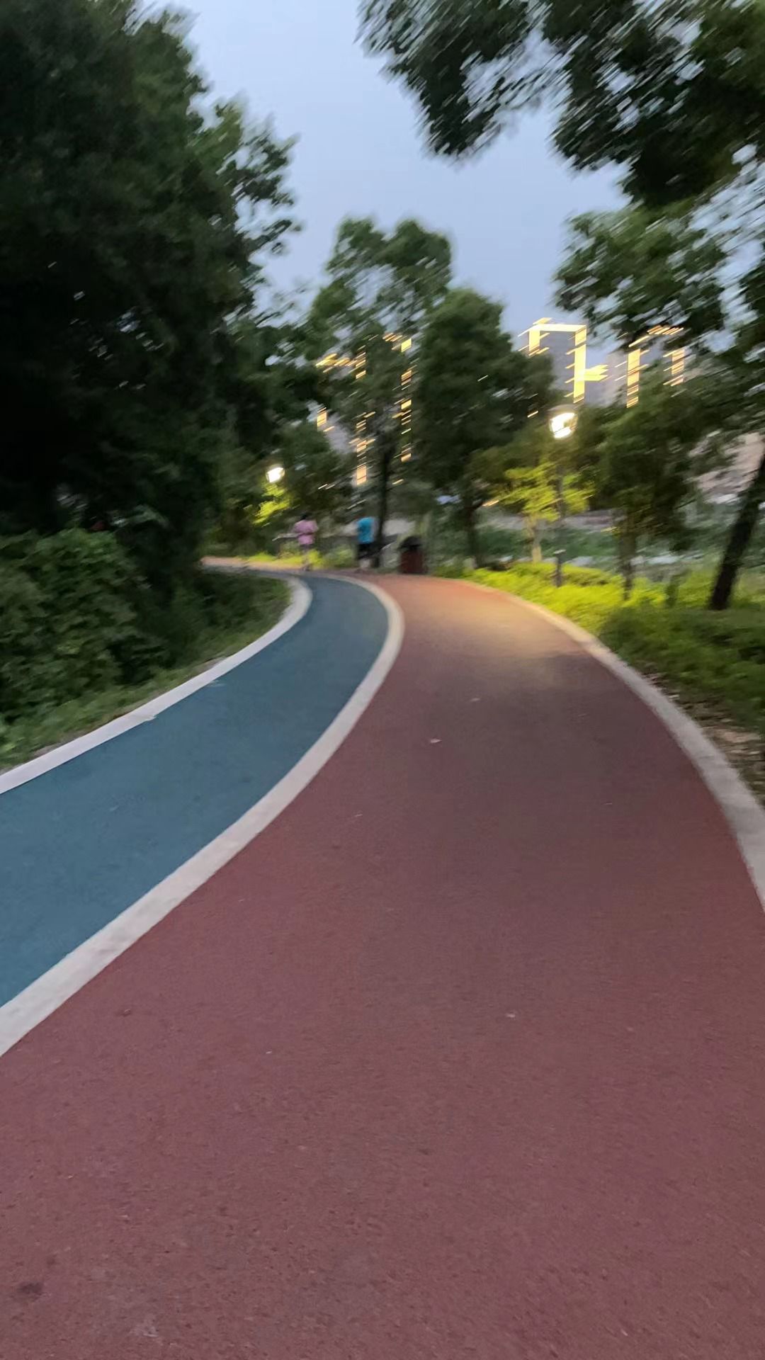 松山公园旅行图片 1