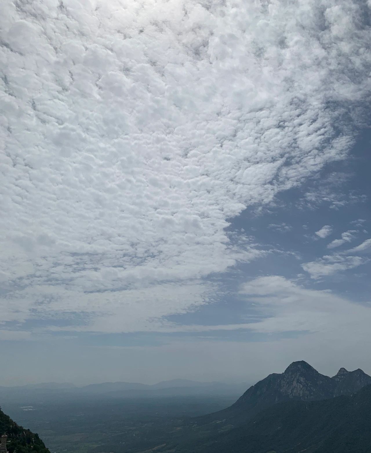 松山公园旅行图片 2