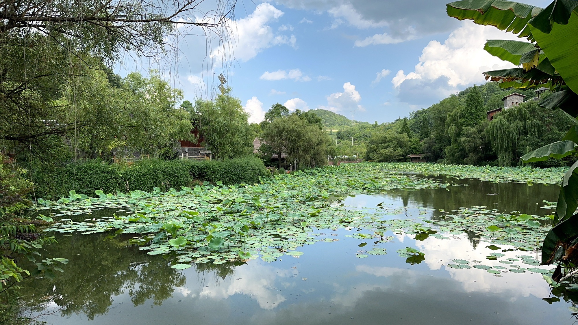 醉美偏坡(醉乐濮越)农庄旅行图片 2
