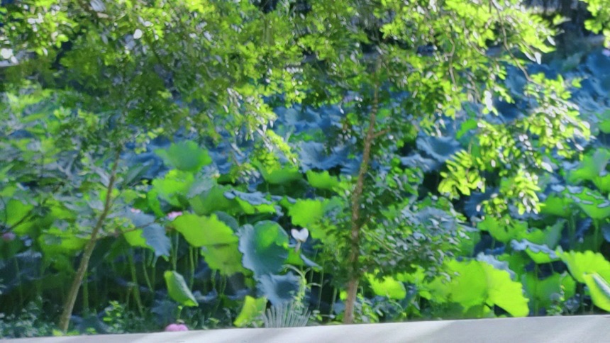 醉美偏坡(醉乐濮越)农庄旅行图片 1