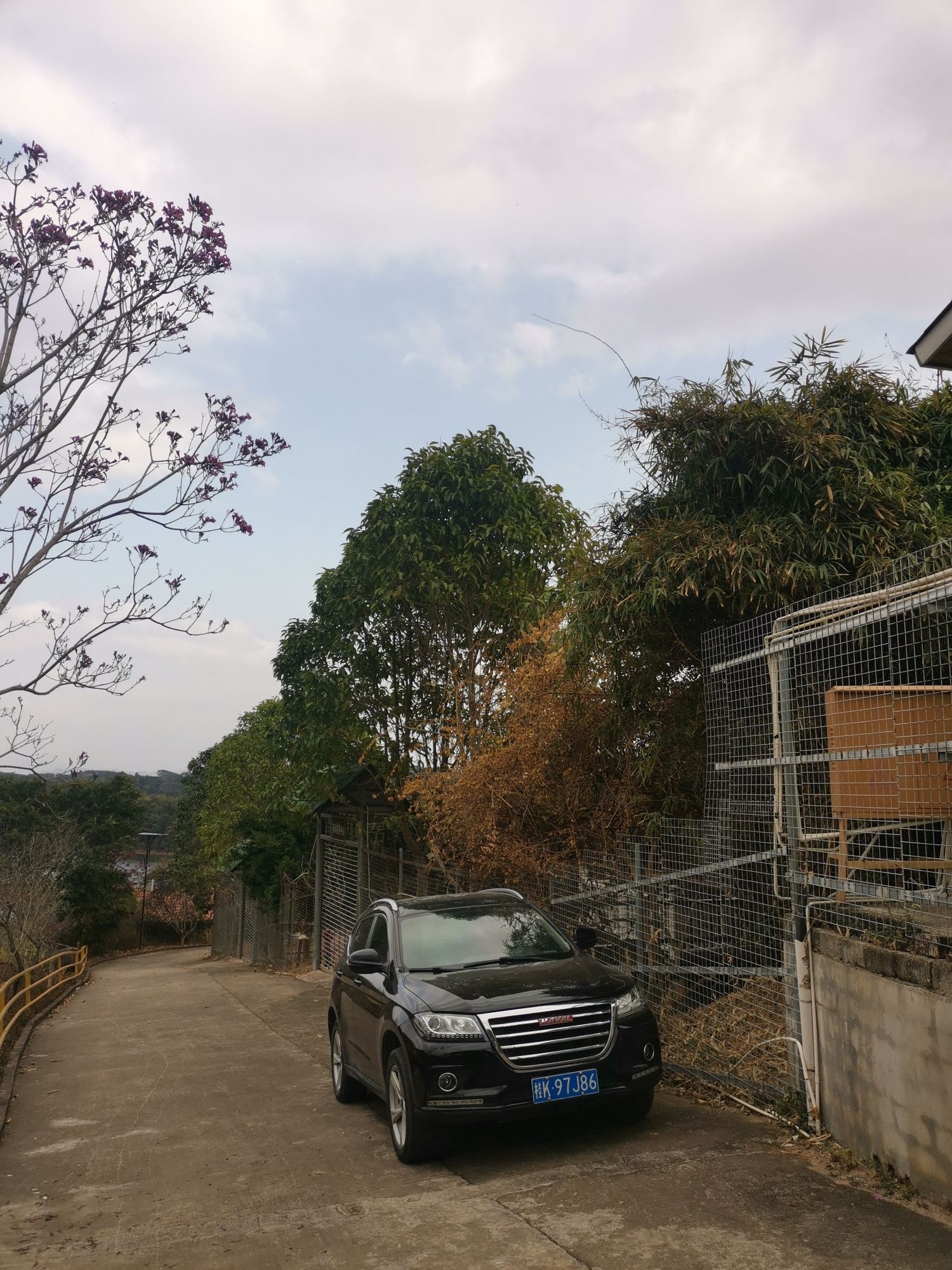 容县竹山湖欢乐谷景区旅行图片 3