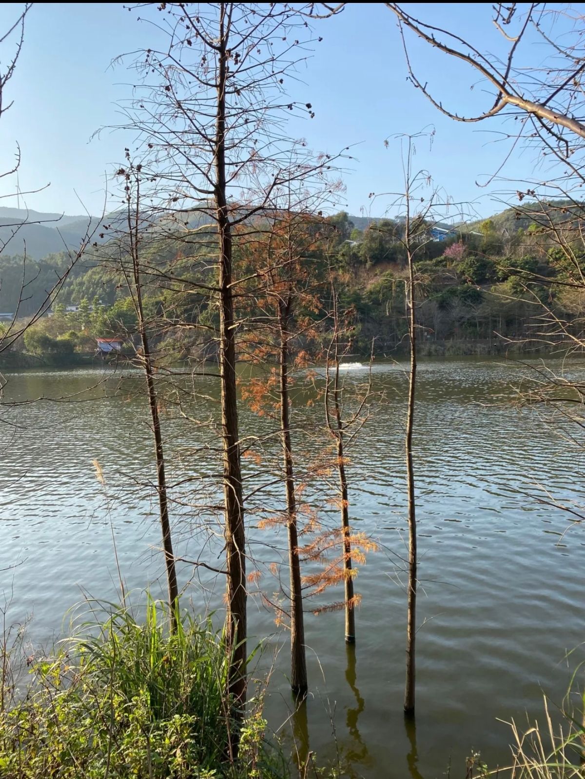 容县竹山湖欢乐谷景区旅行图片 3