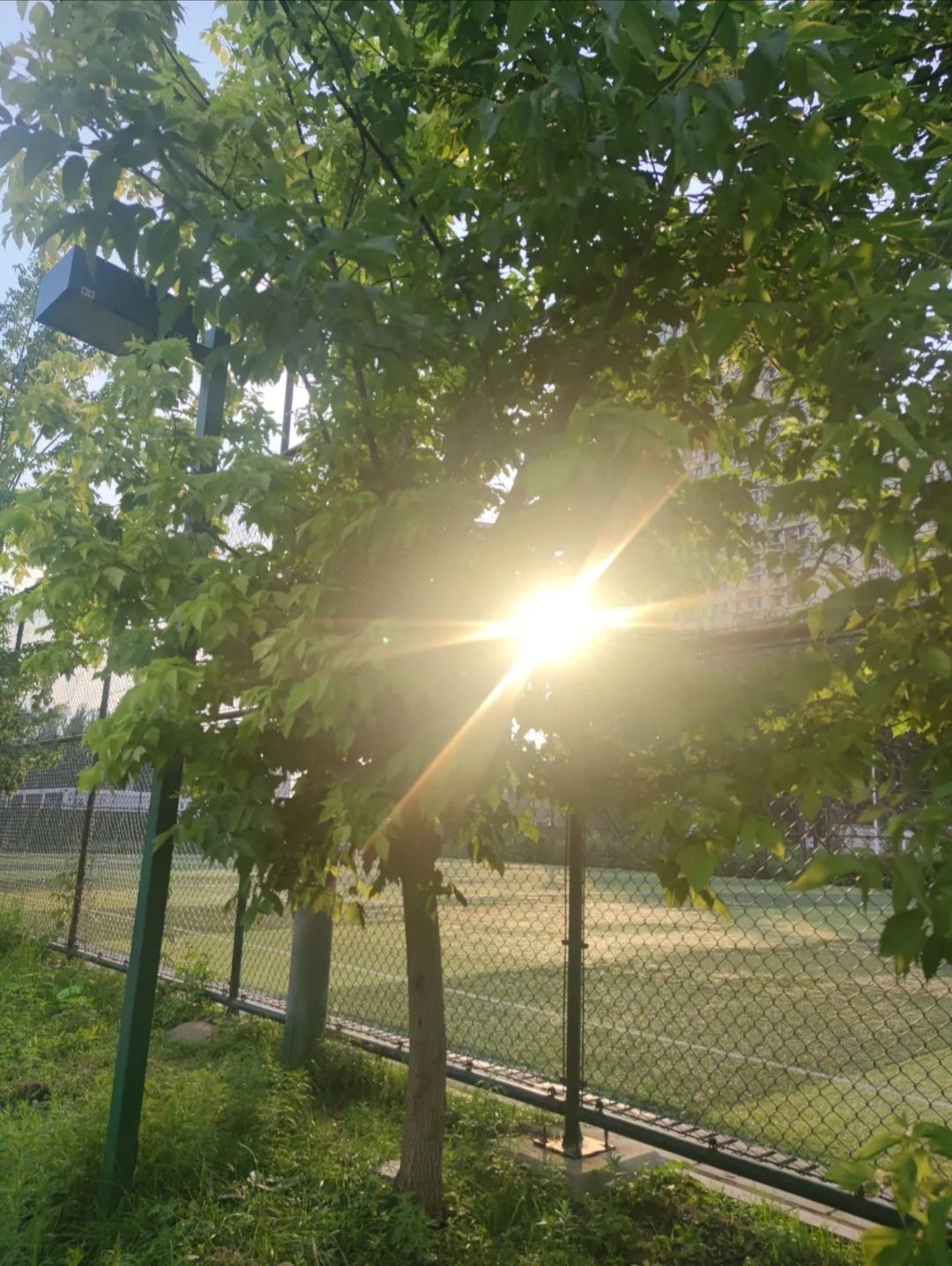 青城山路体育运动公园旅行图片 3