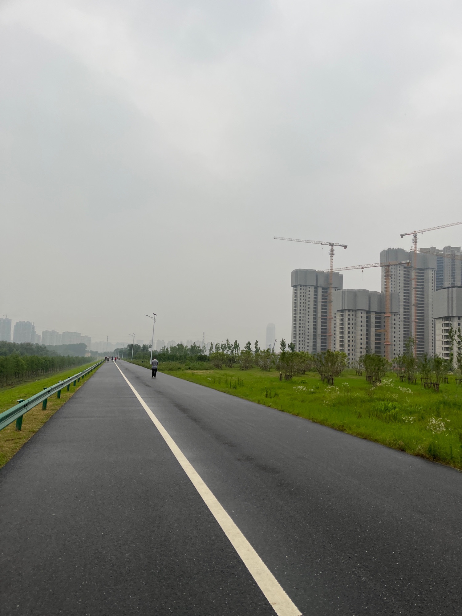 东西湖堤旅行图片 3