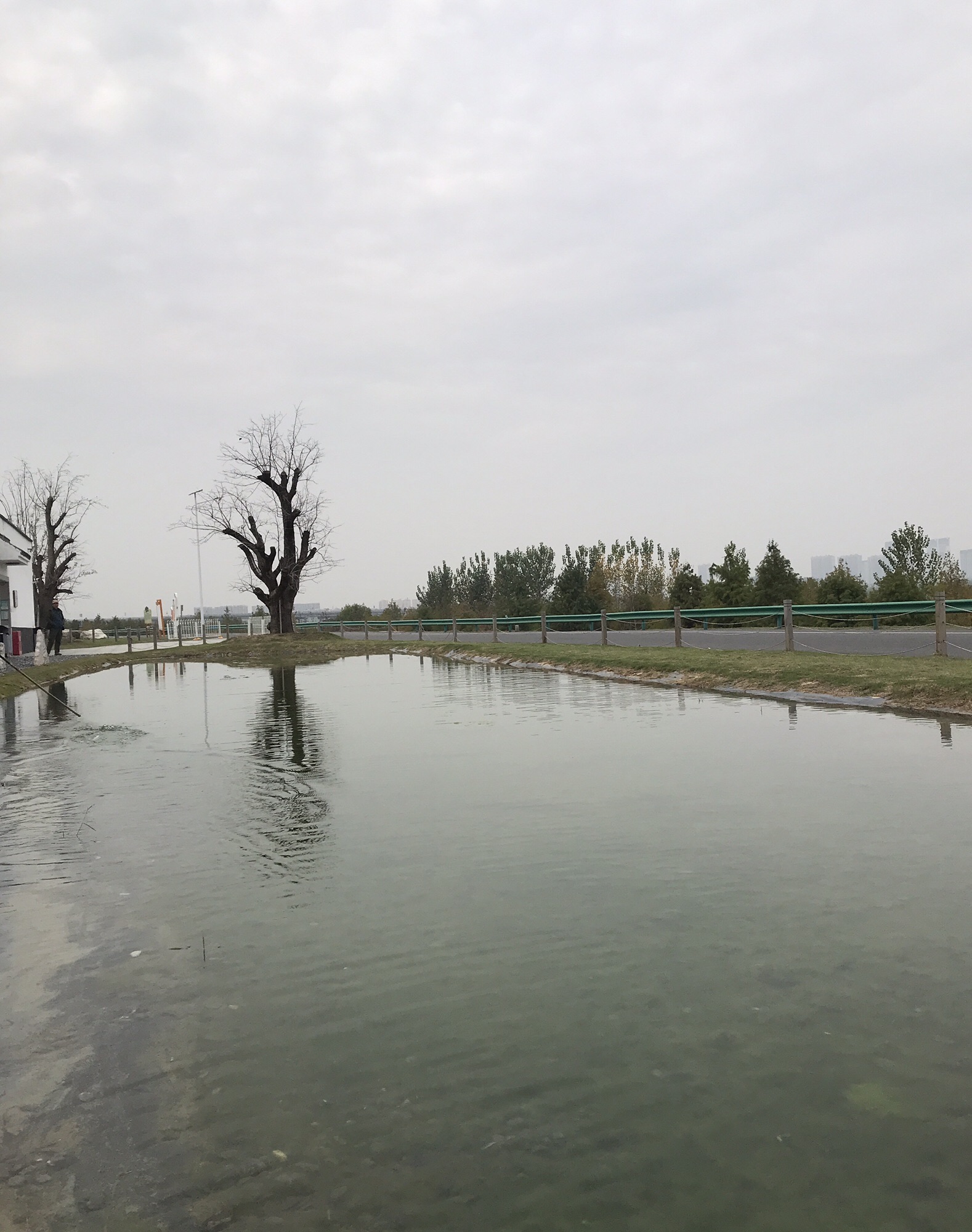 东西湖堤旅行图片 2
