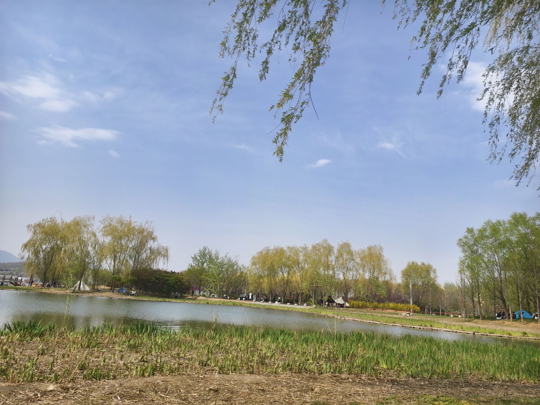 龙泉湖湿地旅行图片 2