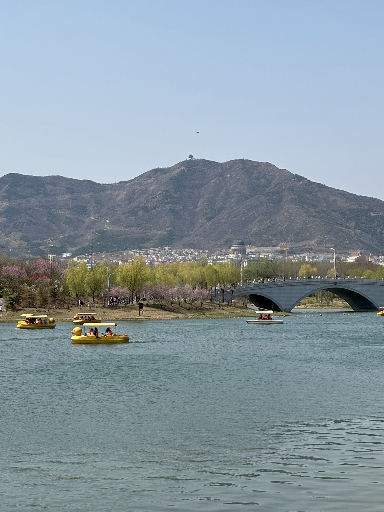龙泉湖湿地旅行图片 1