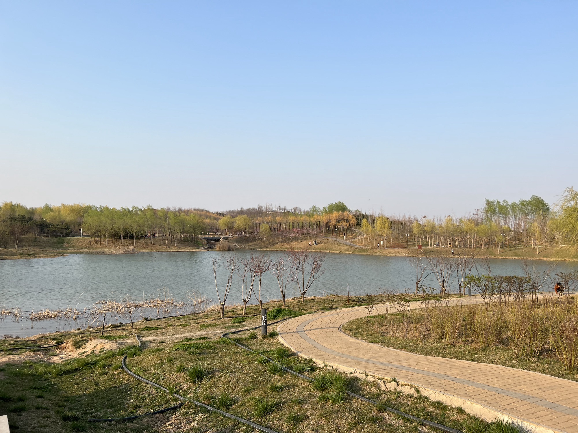龙泉湖湿地旅行图片 2