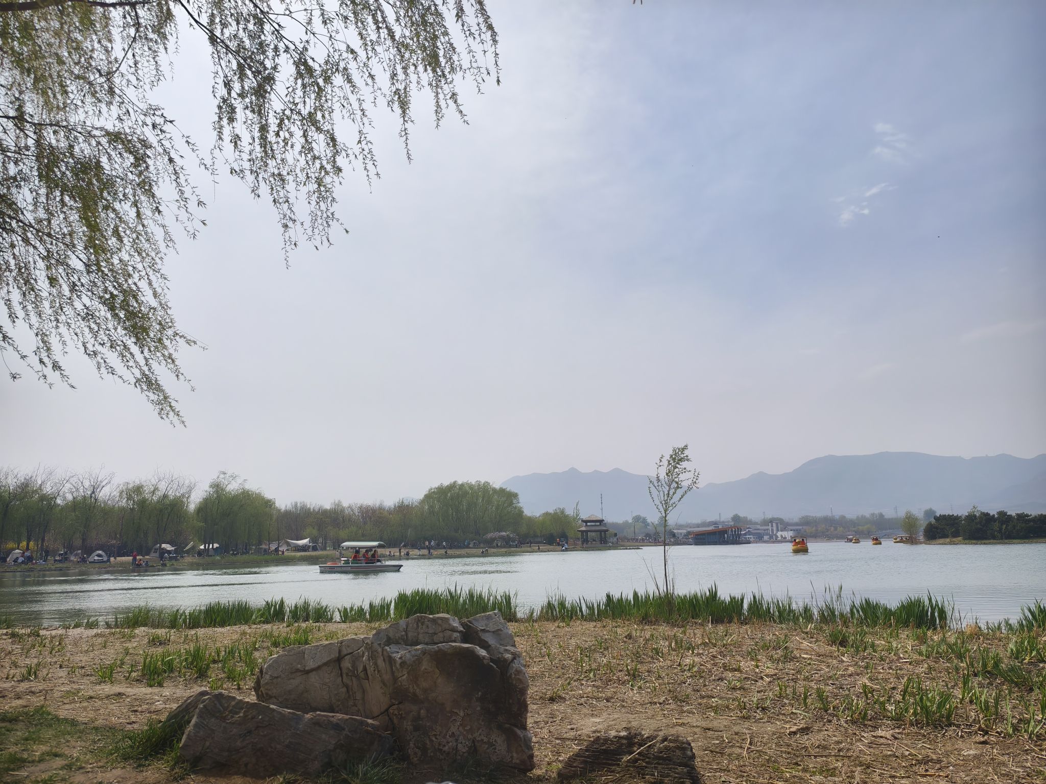 龙泉湖湿地旅行图片 1