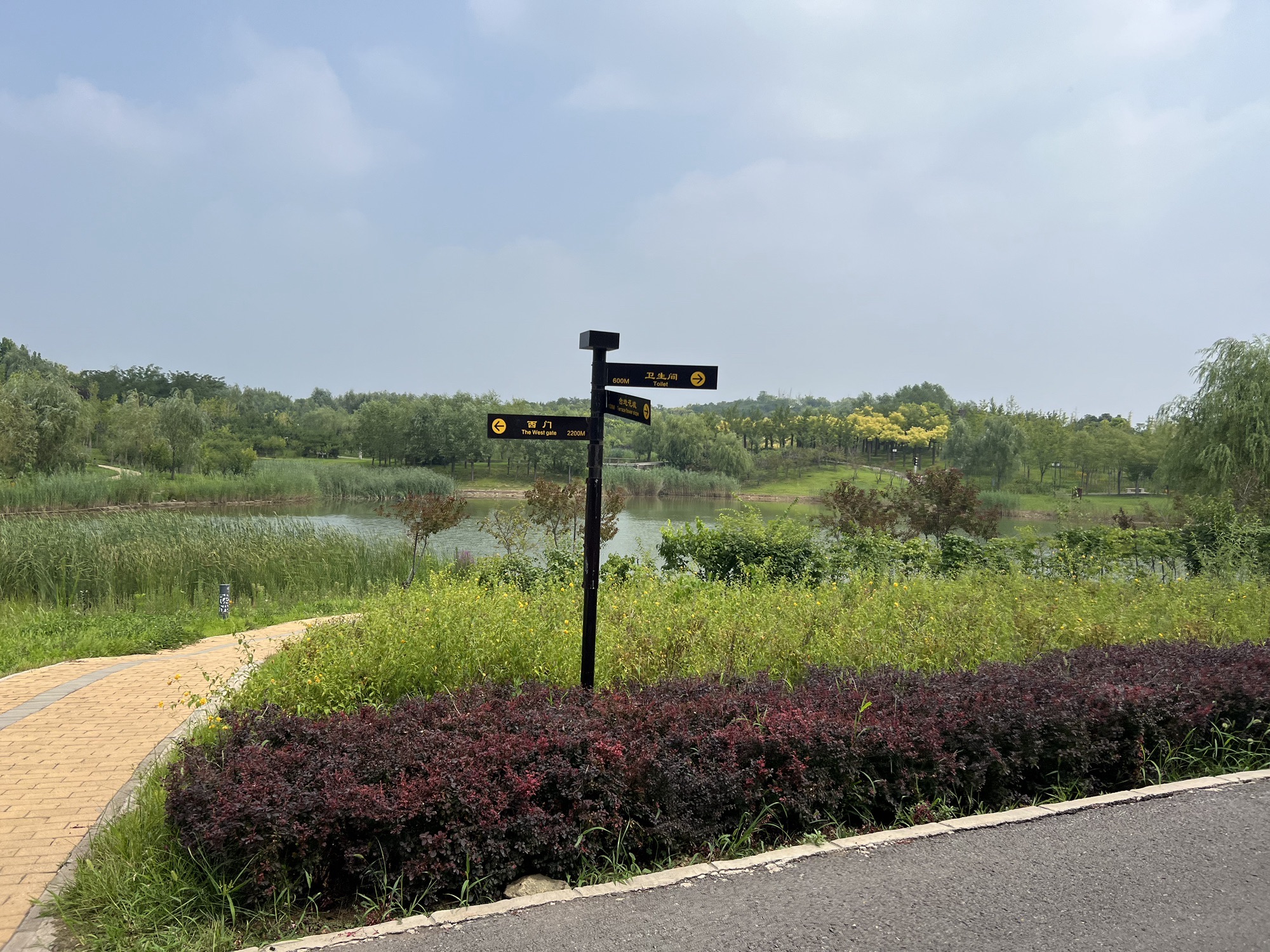 龙泉湖湿地旅行图片 3