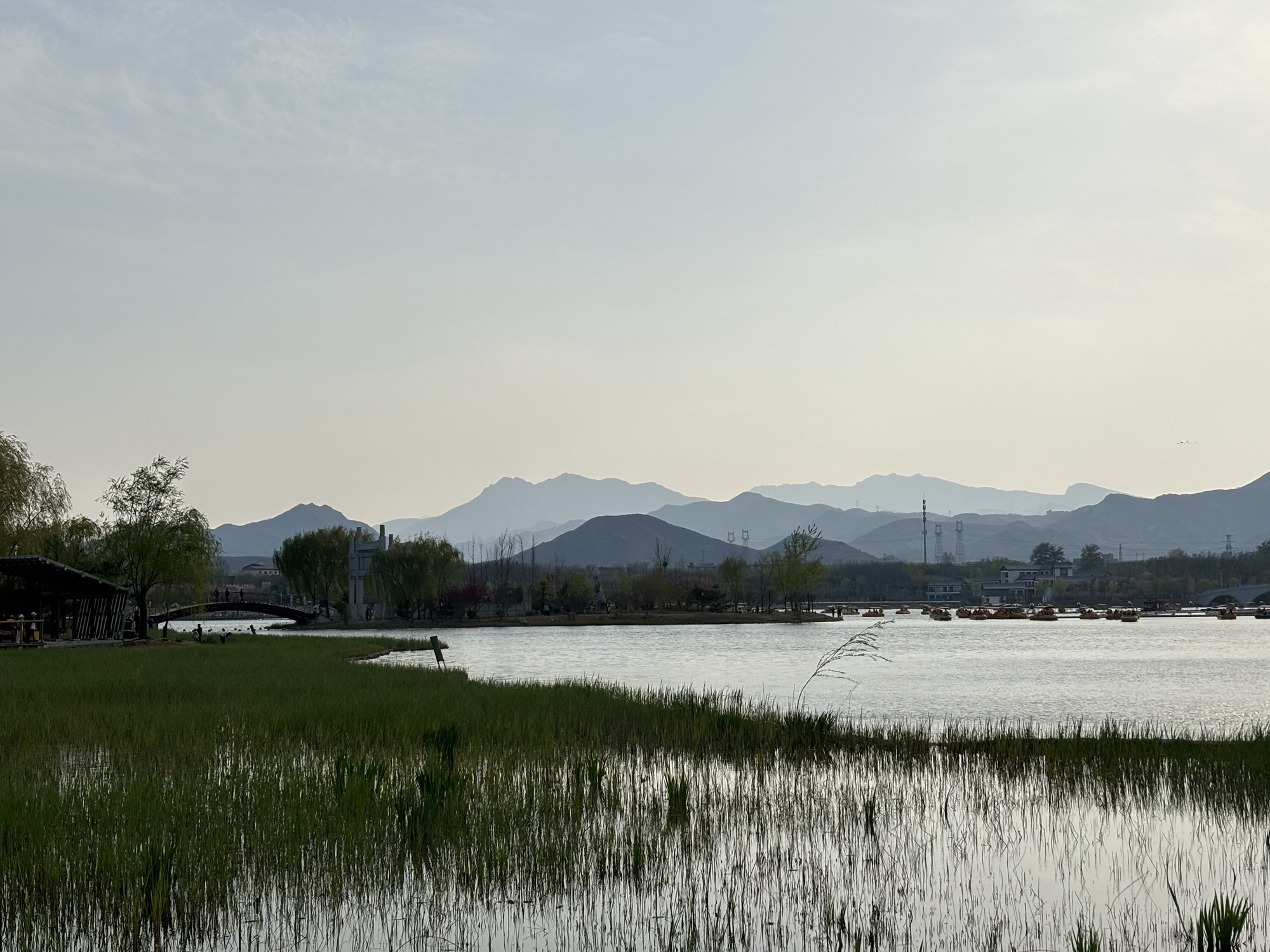 龙泉湖湿地旅行图片 2