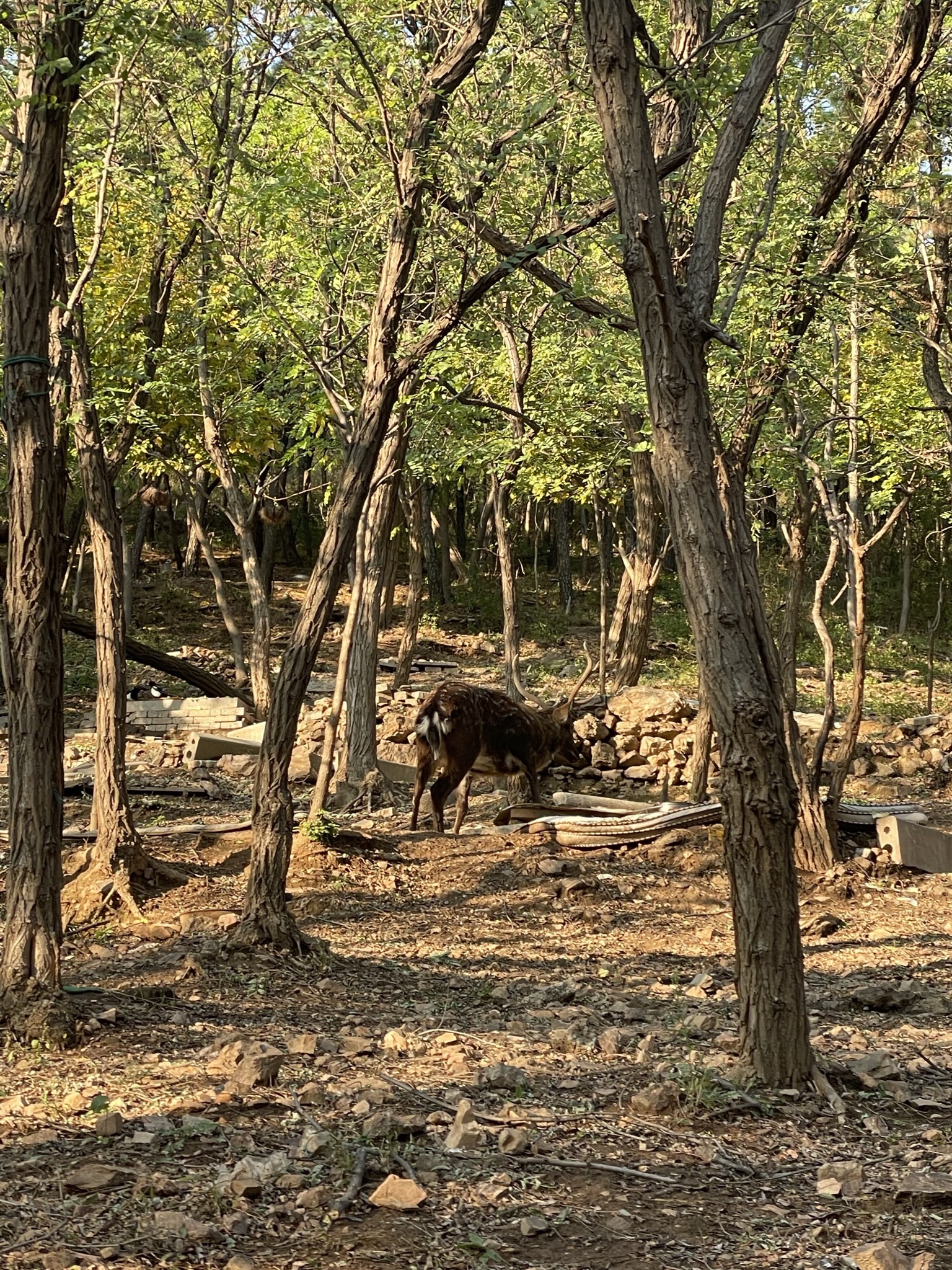 白云山山体公园旅行图片 3