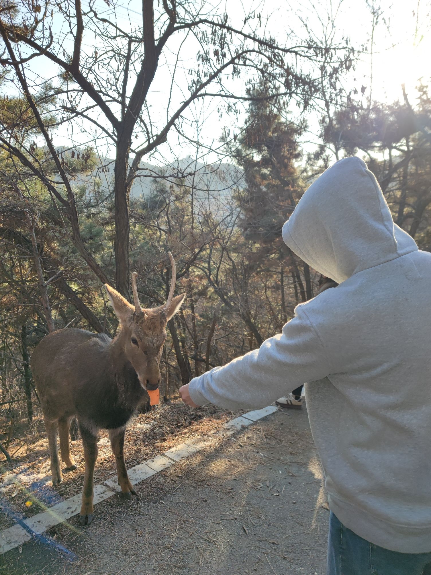白云山山体公园旅行图片 3