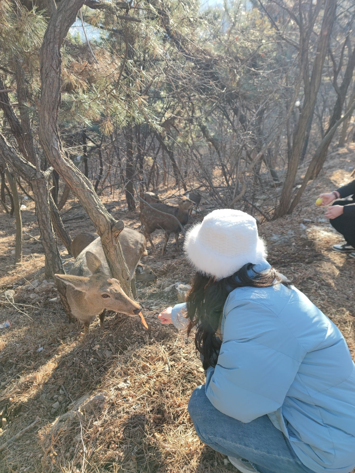 白云山山体公园旅行图片 1