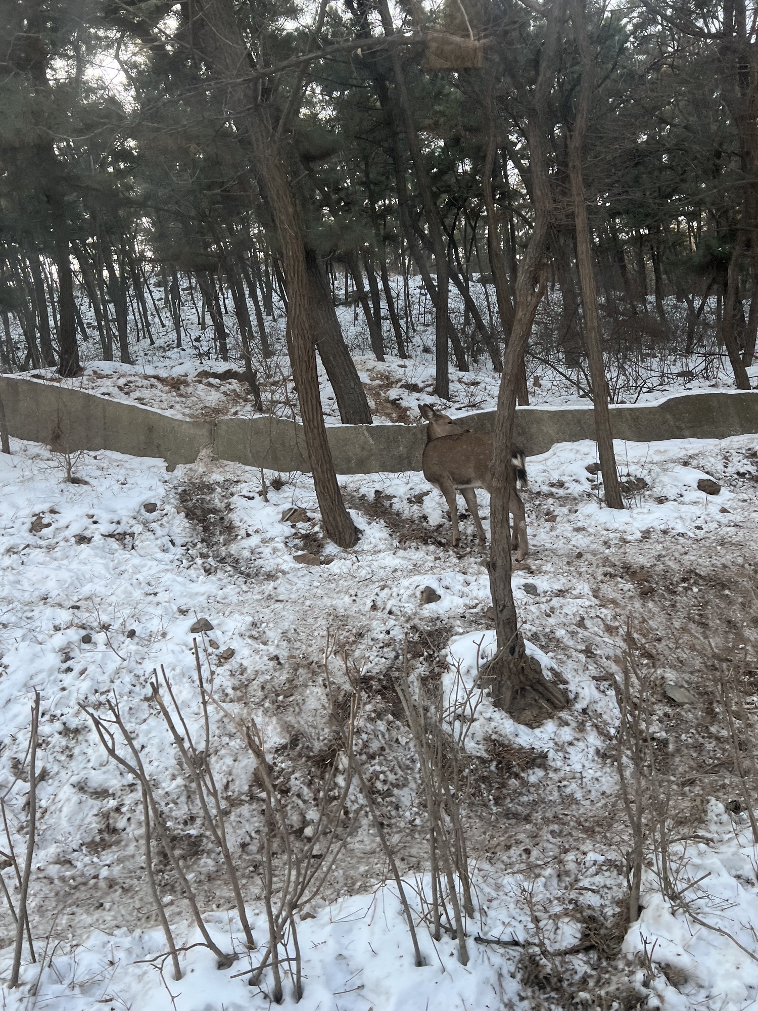 白云山山体公园旅行图片 2
