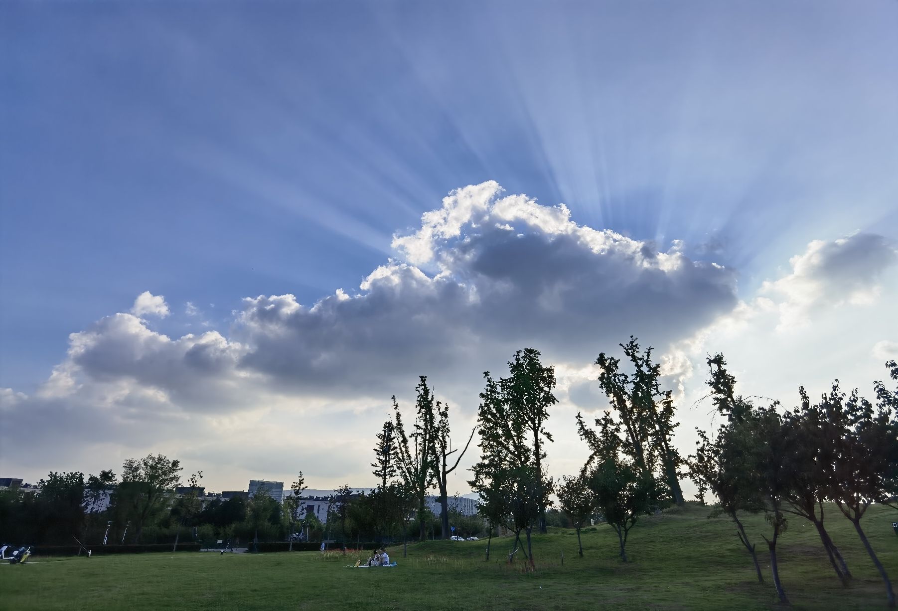 龟山公园旅行图片 3