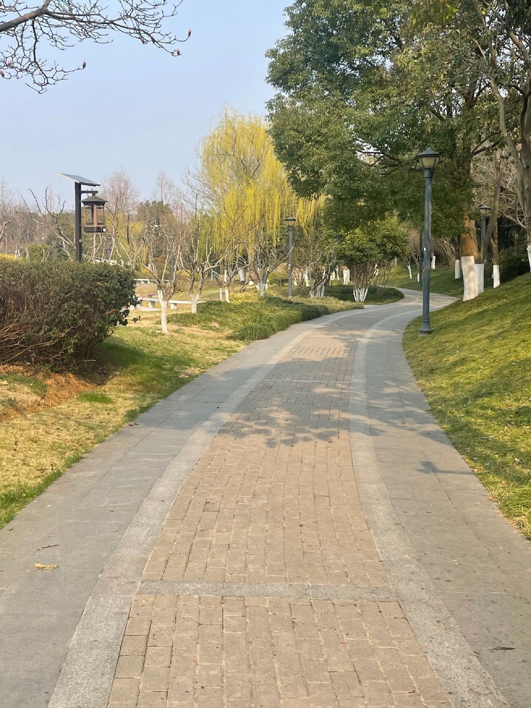 龟山公园旅行图片 2