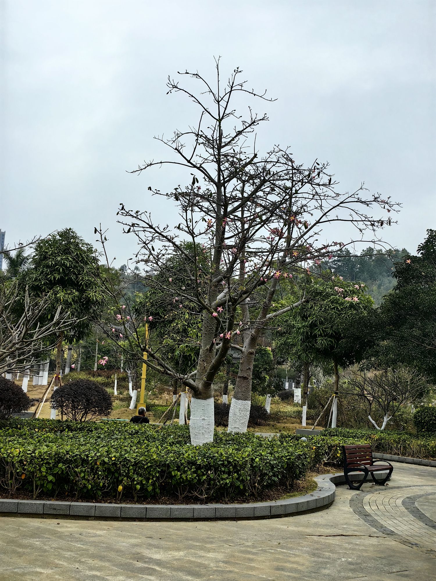 防城港园博园旅行图片 2