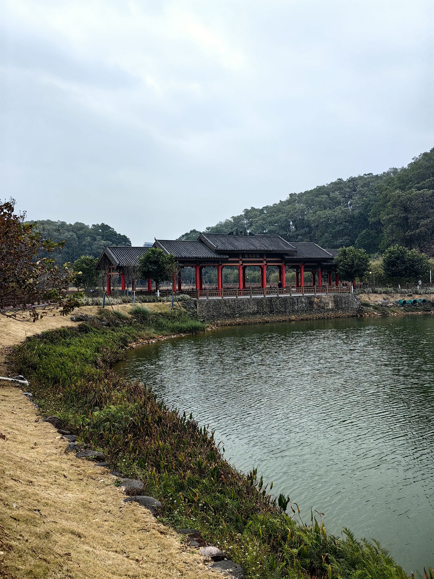 防城港园博园旅行图片 3
