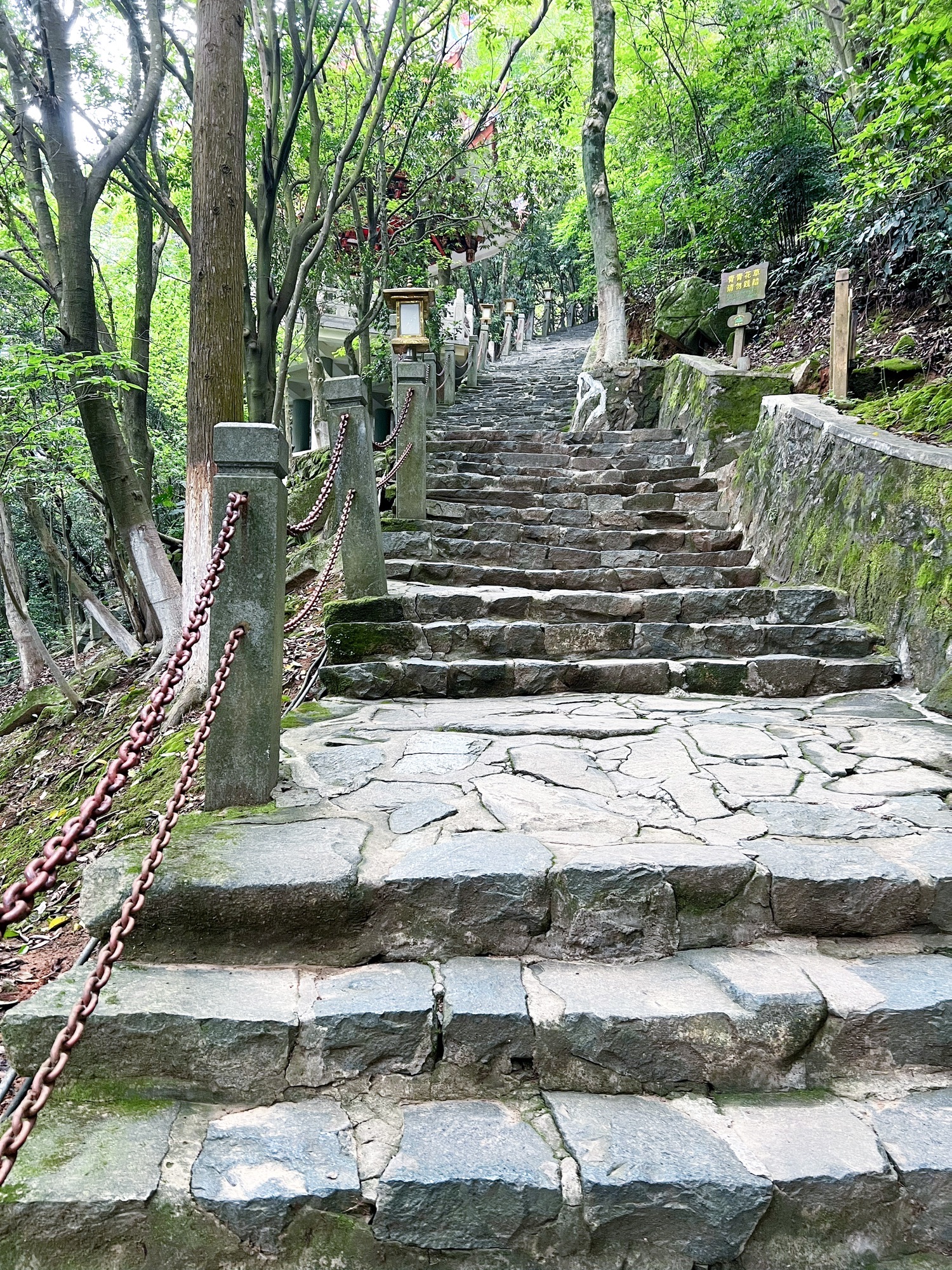 仙公山风景区旅行图片 1