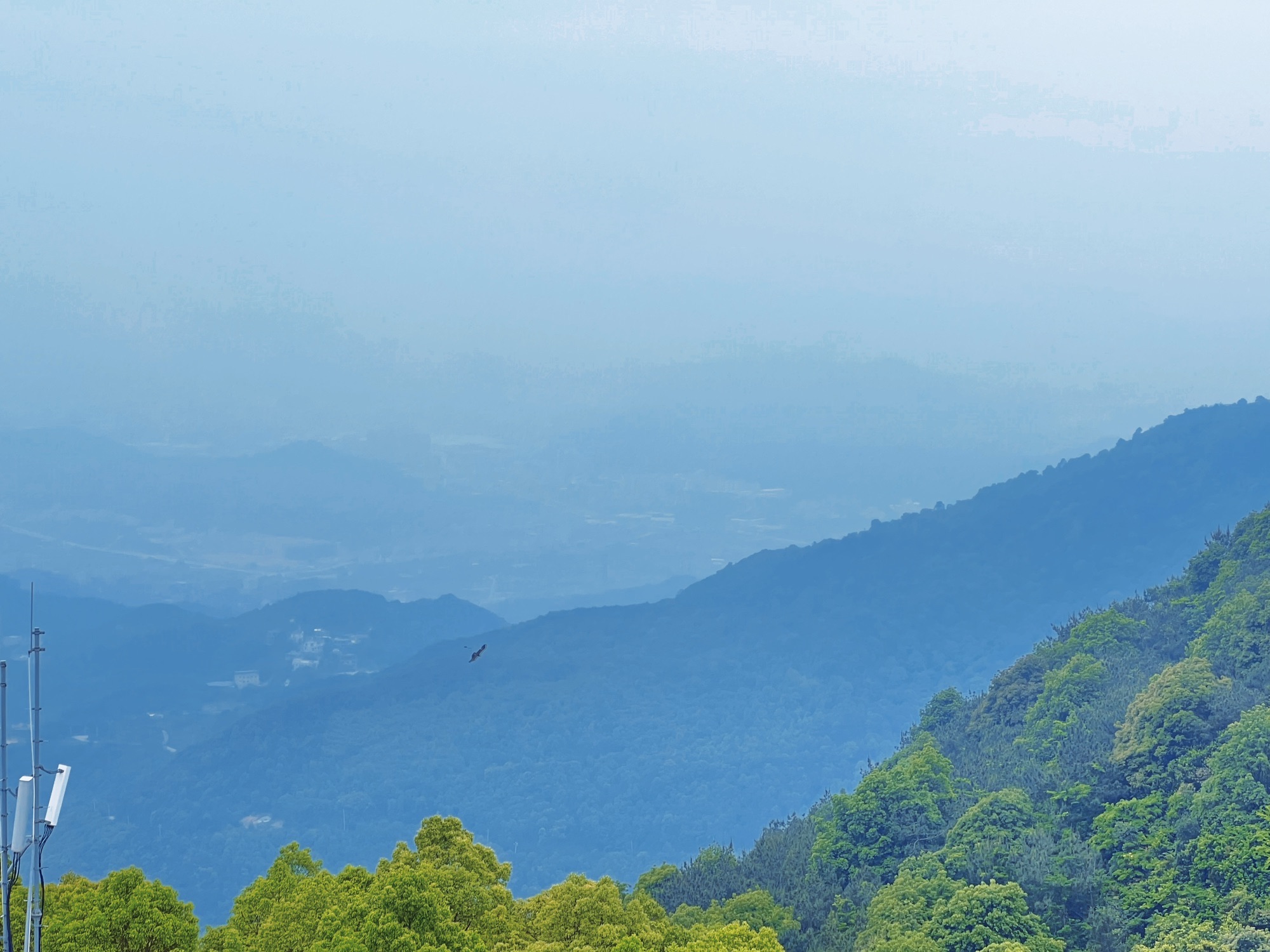 仙公山风景区旅行图片 3