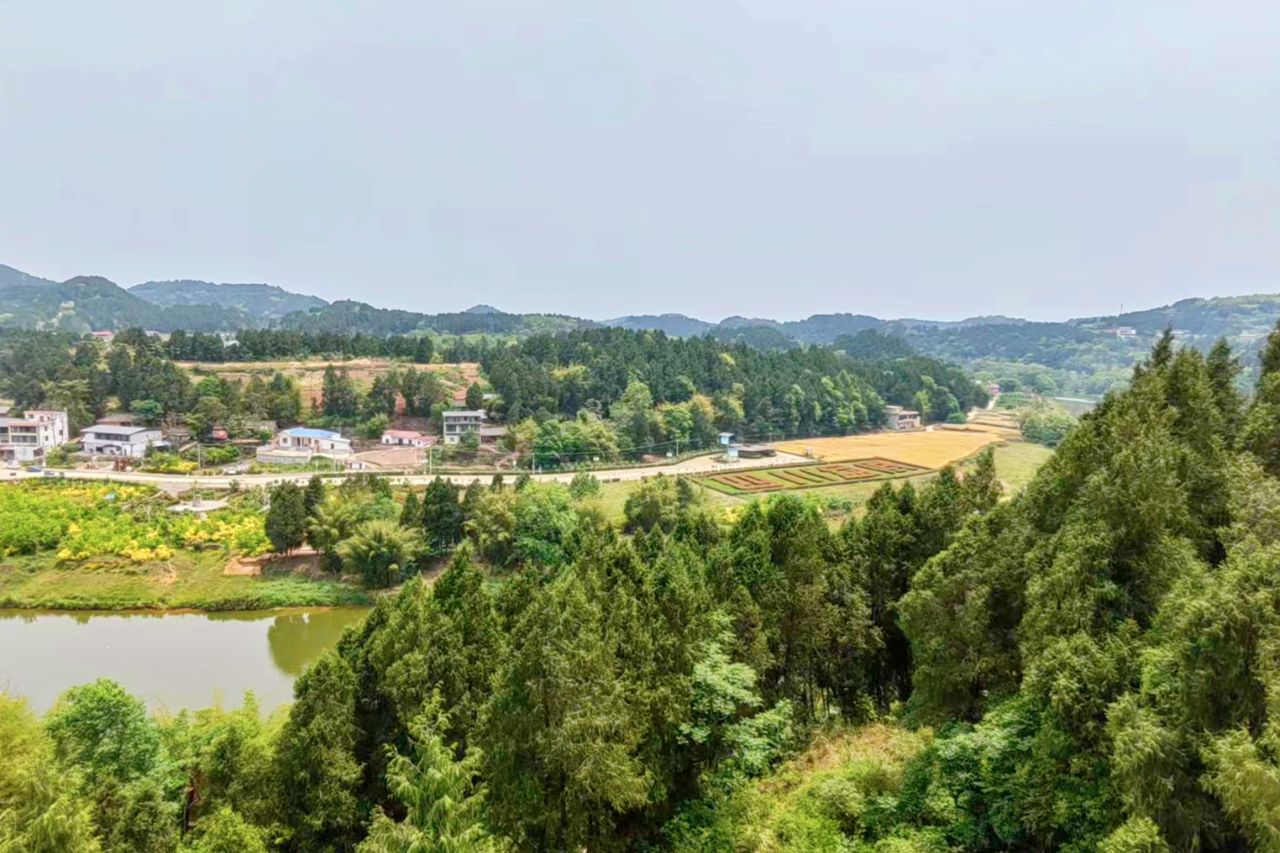 四川盆底旅行图片 2