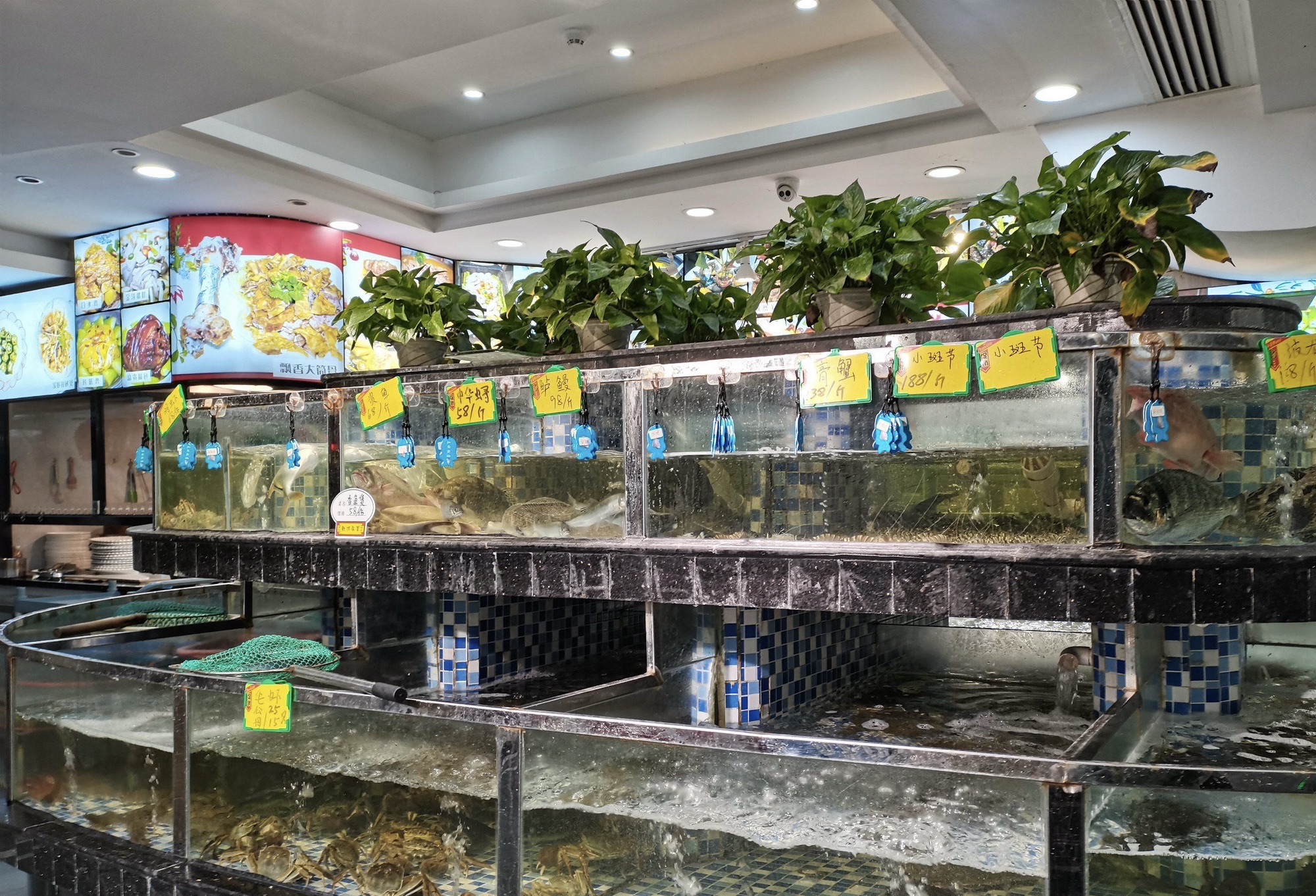 志斌饭店(龙文北路店)