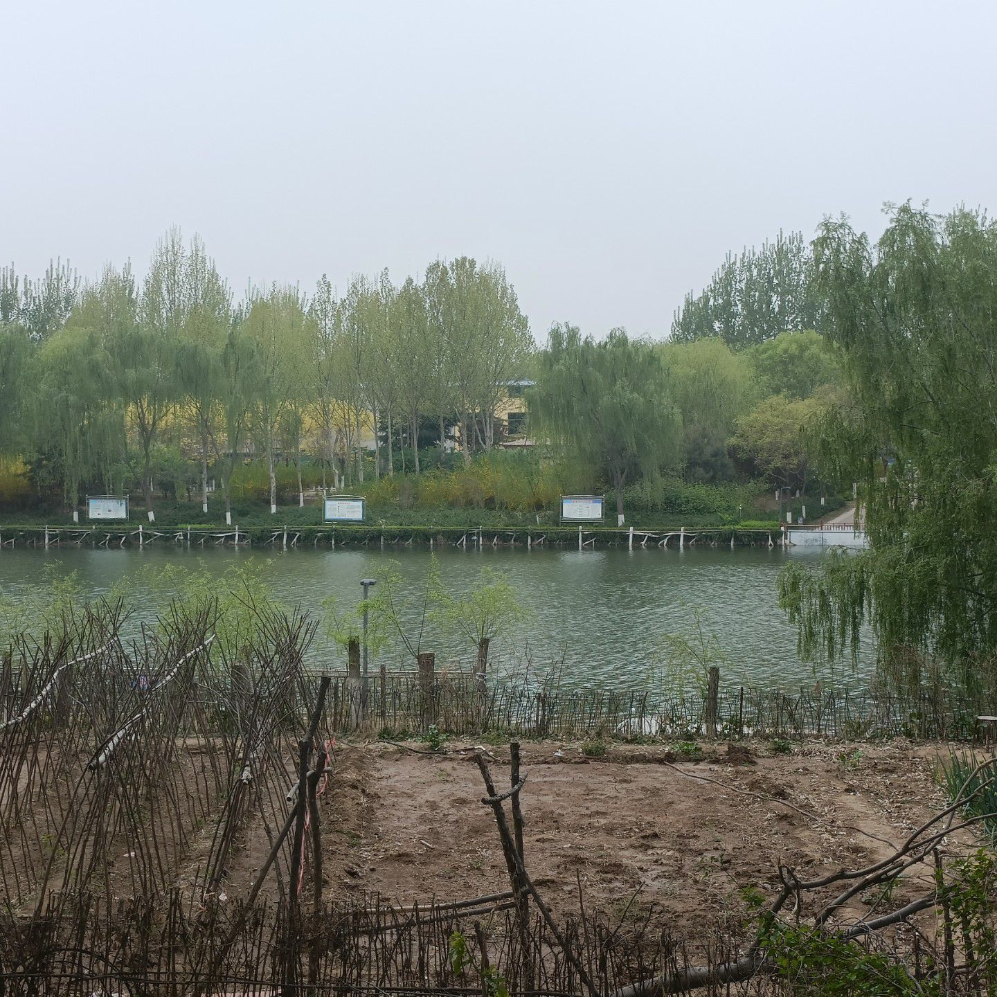清河公园旅行图片 2