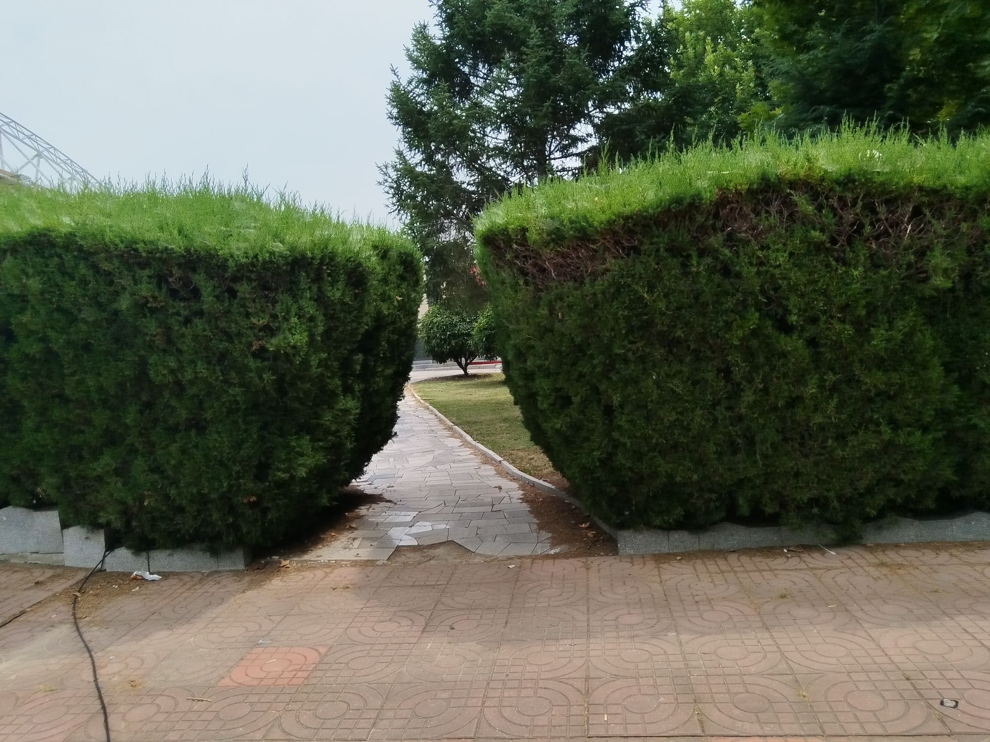 烟台体育公园南门地面停车场