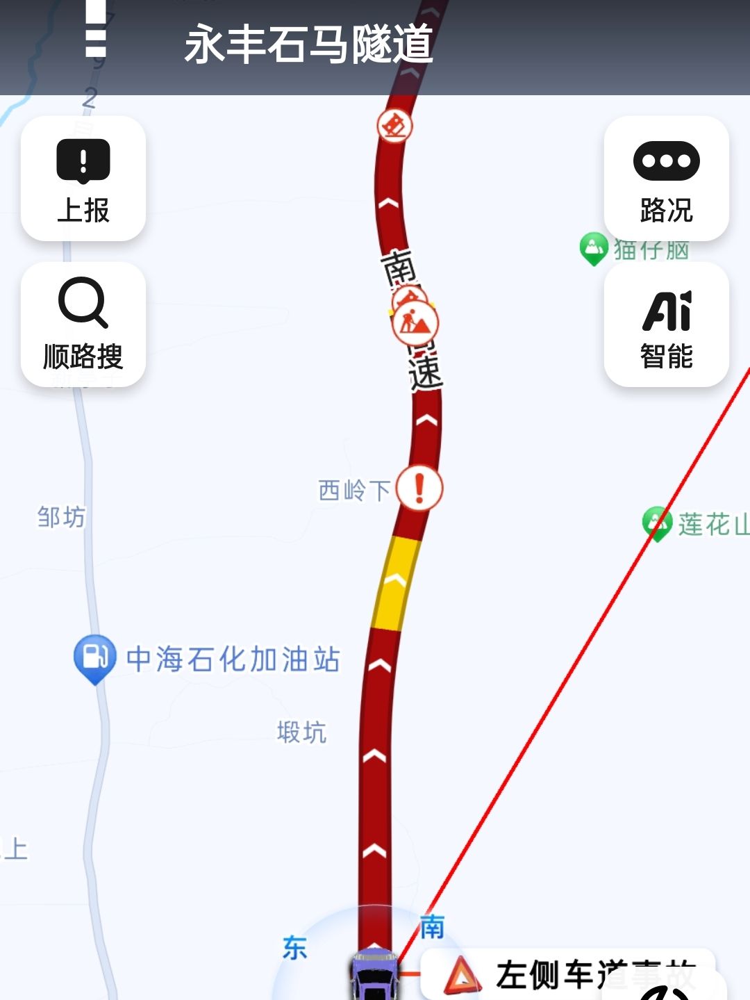 永丰国家森林公园旅行图片 1