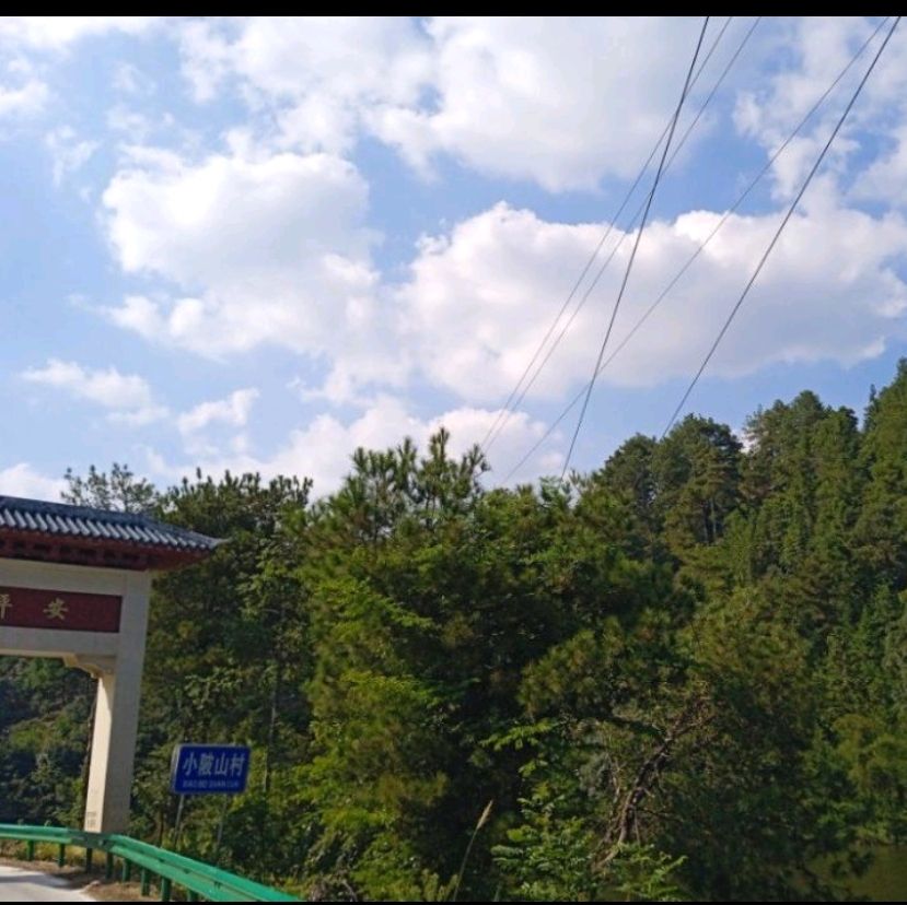永丰国家森林公园旅行图片 3